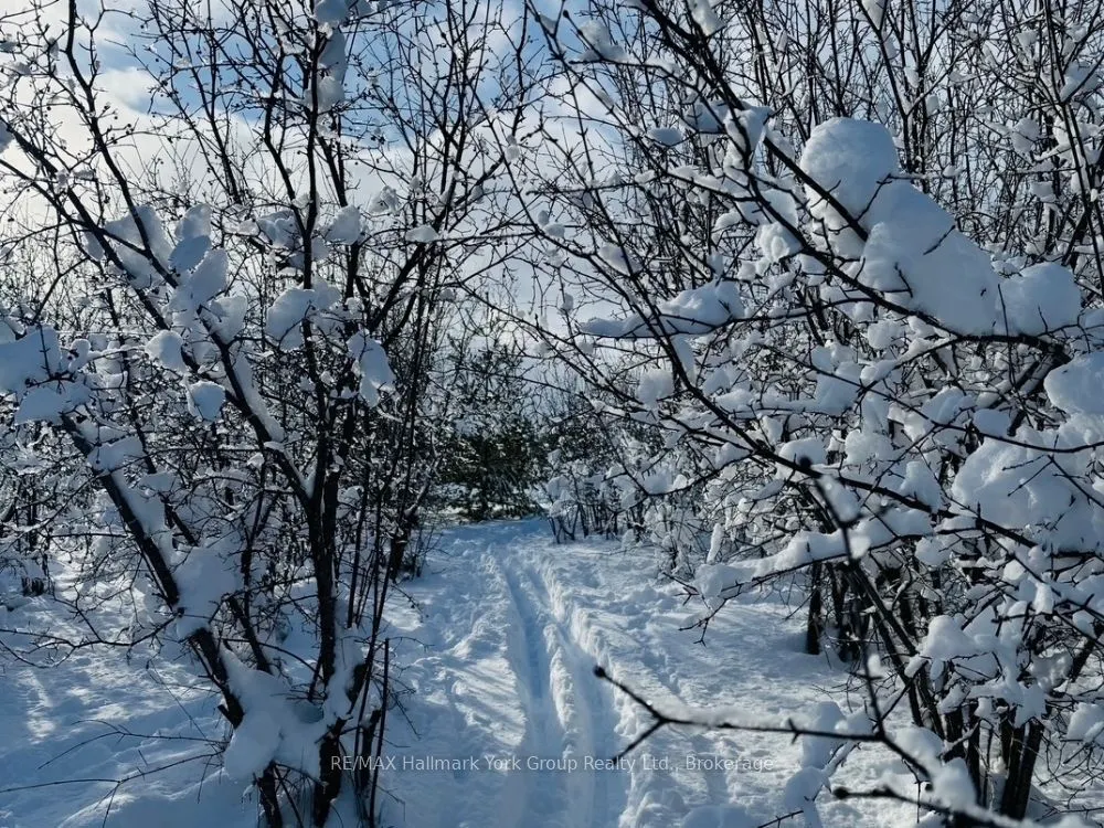125 Mountain Road