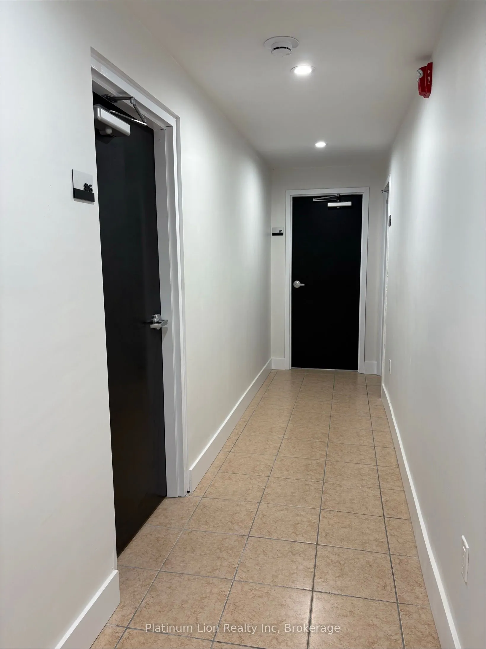 803 King Street #6
