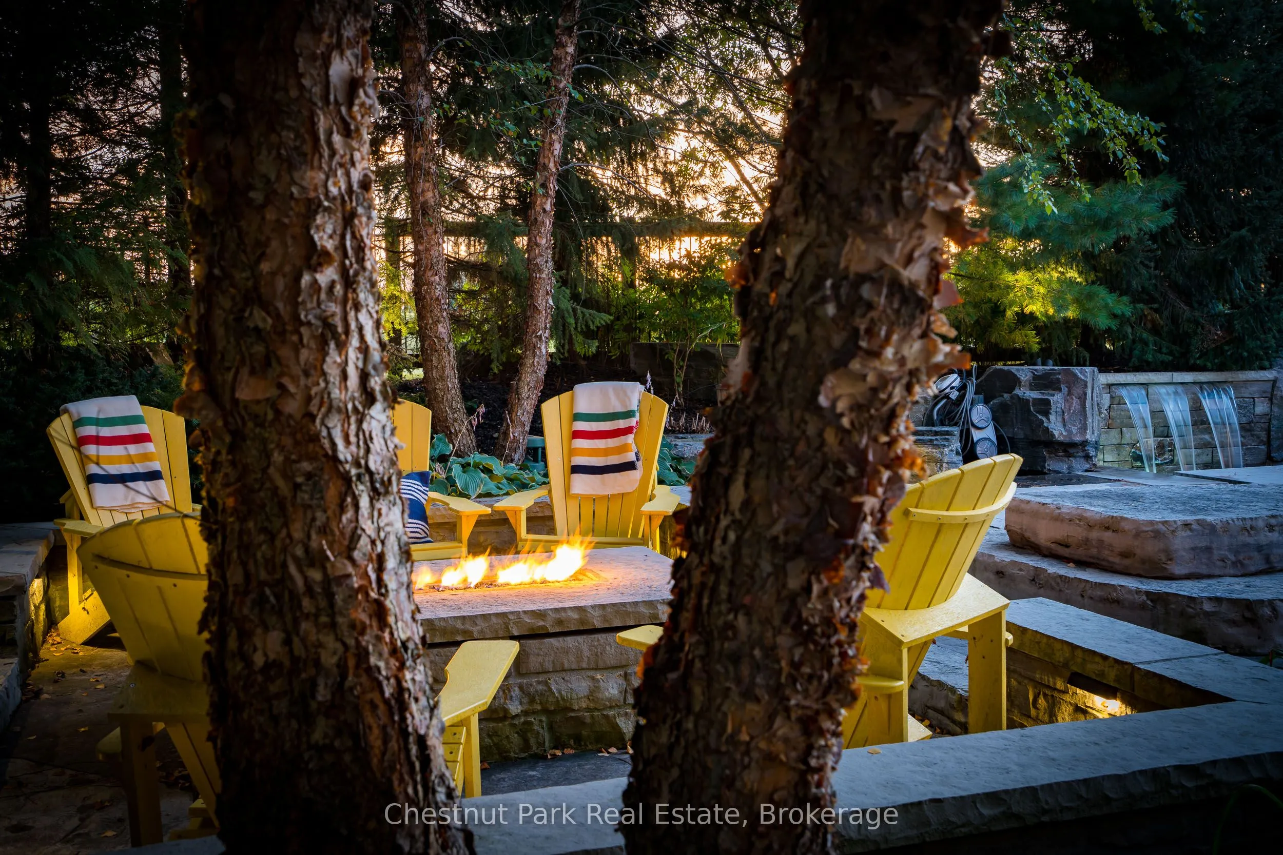120 TIMBER LEIF Ridge
