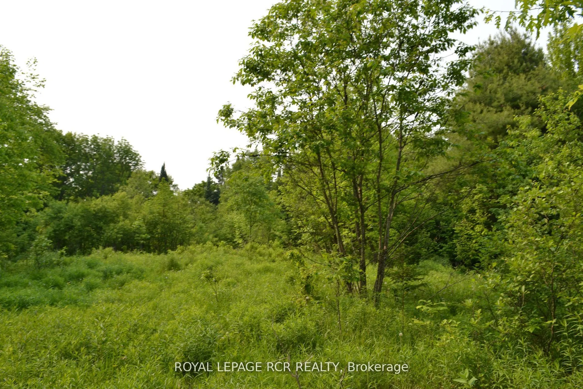 1527 Madill Road