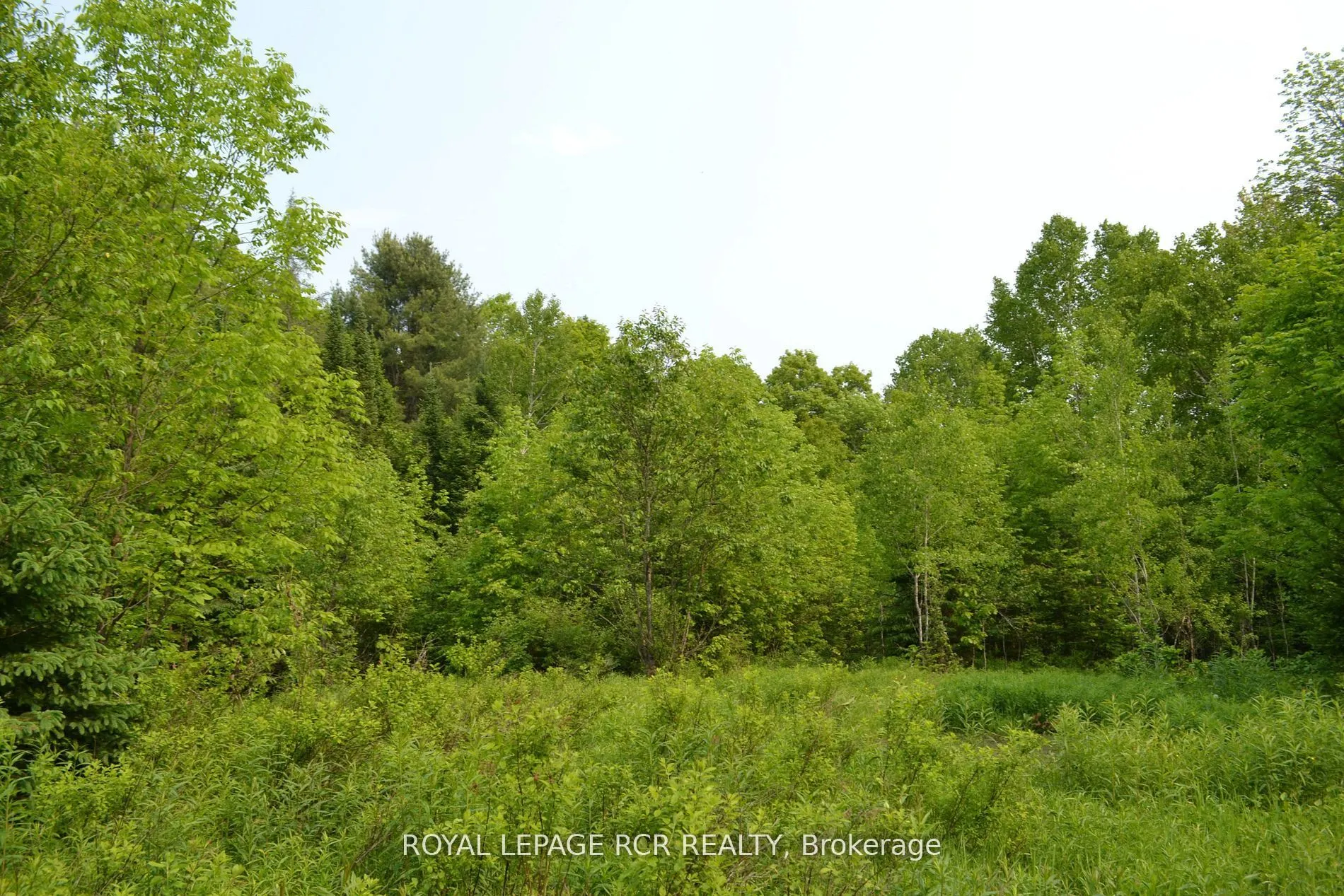 1527 Madill Road