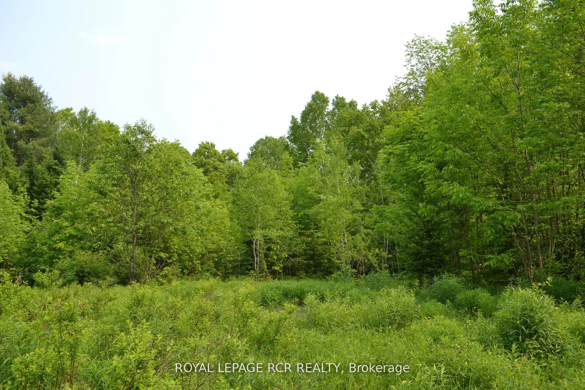 1527 Madill Road