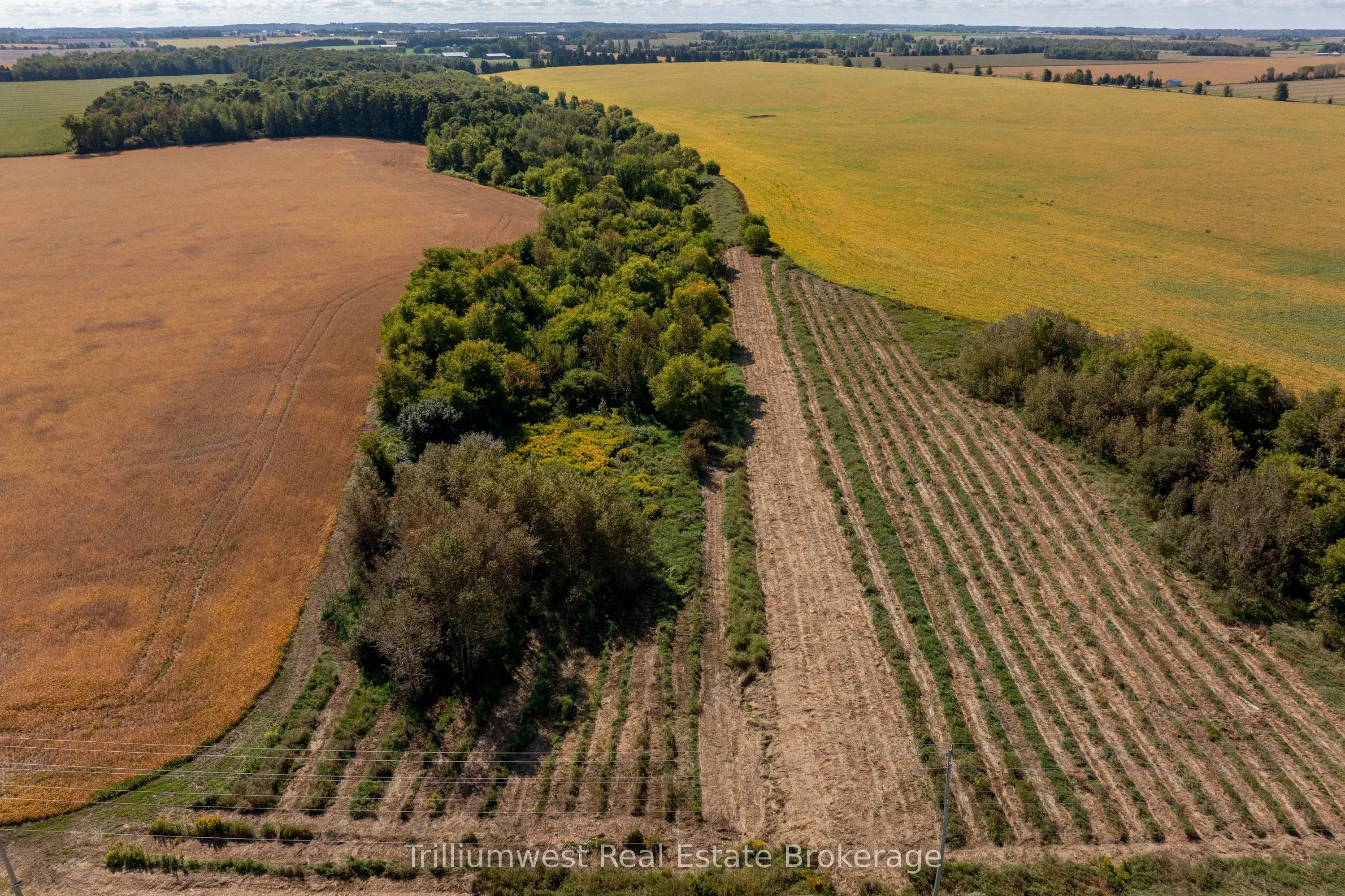 201340 Dufferin Road 109 Road