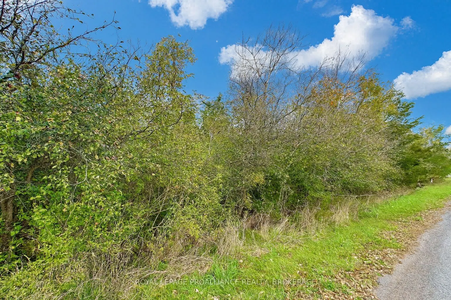 Lot 15 Martin Drive