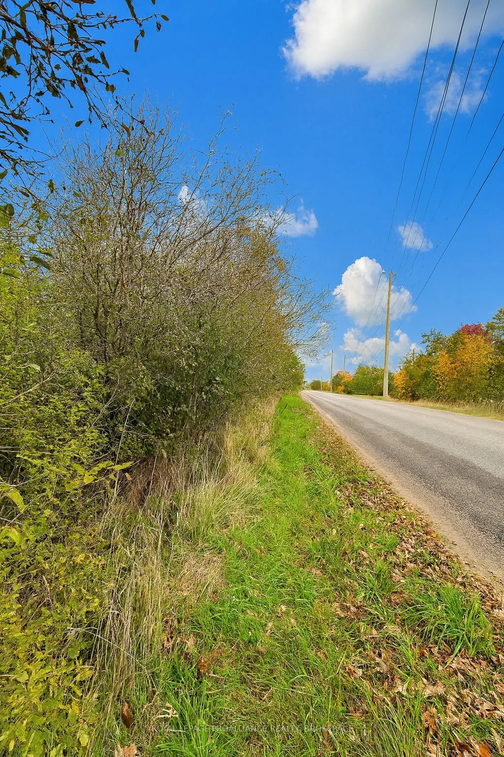 Lot 15 Martin Drive