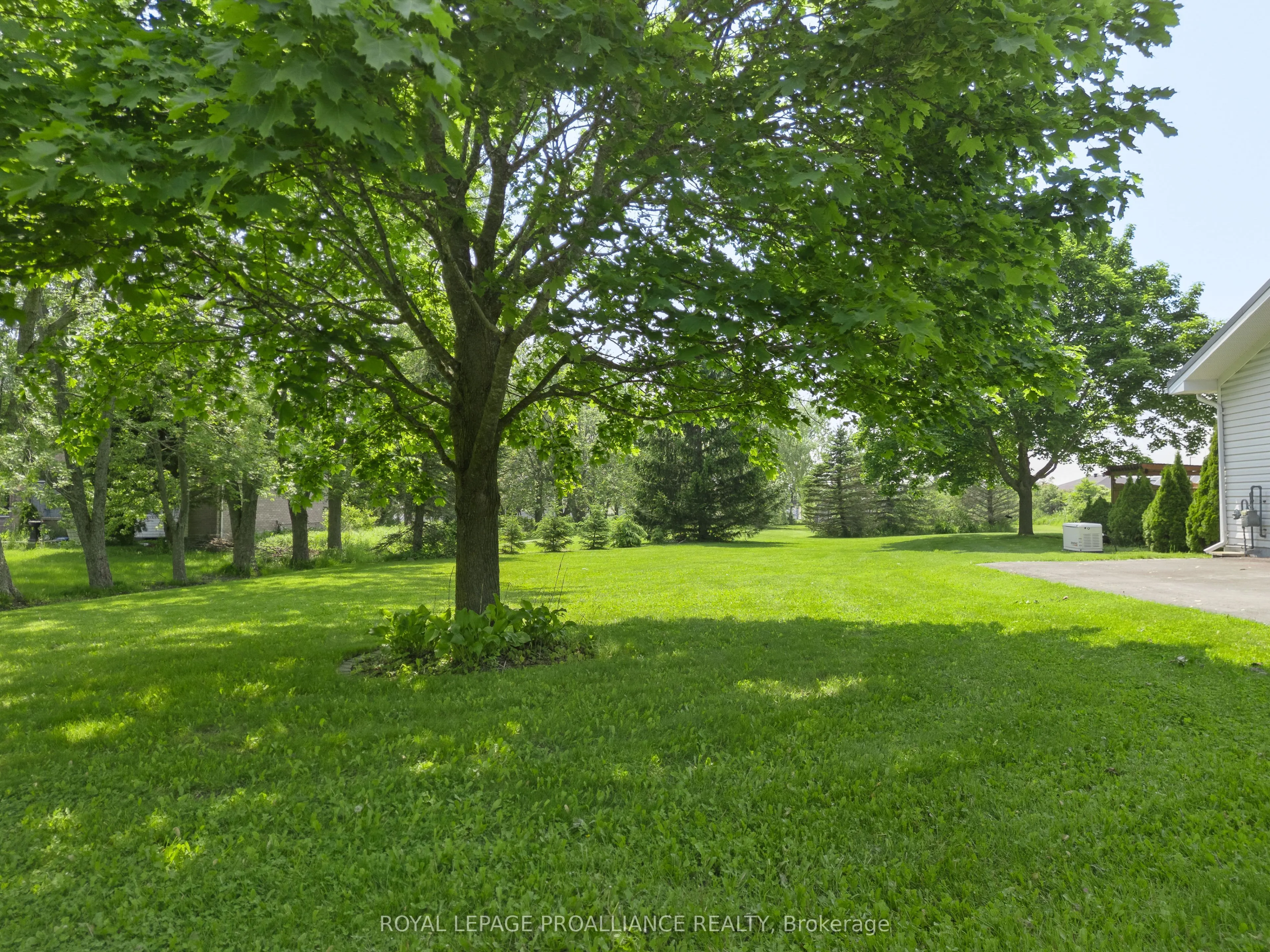 288 Edward Street W