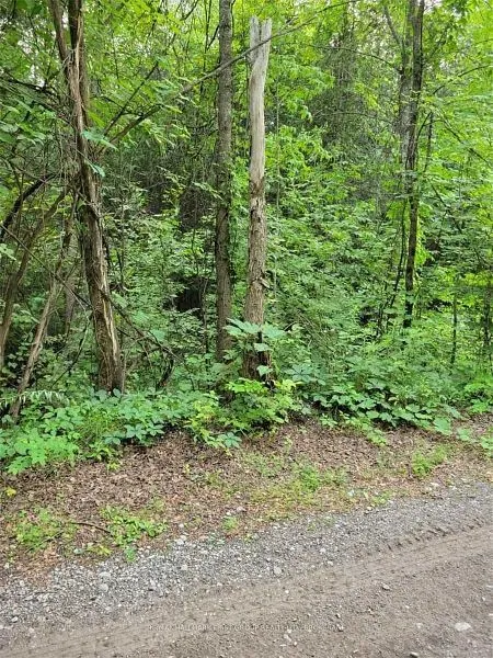 8 St. Marks Road