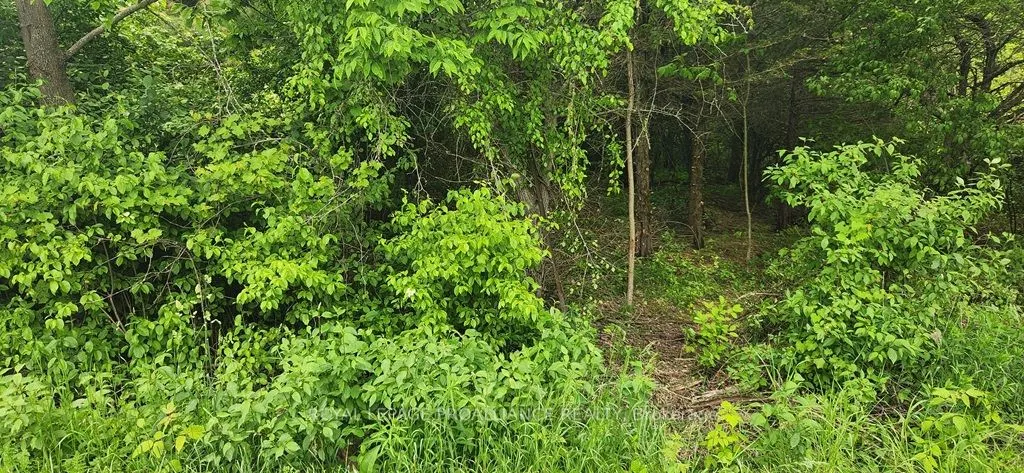 00 Scriver Road