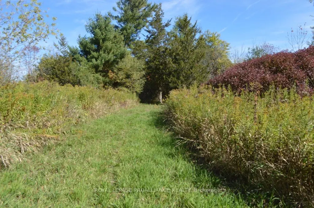 00 Scriver Road