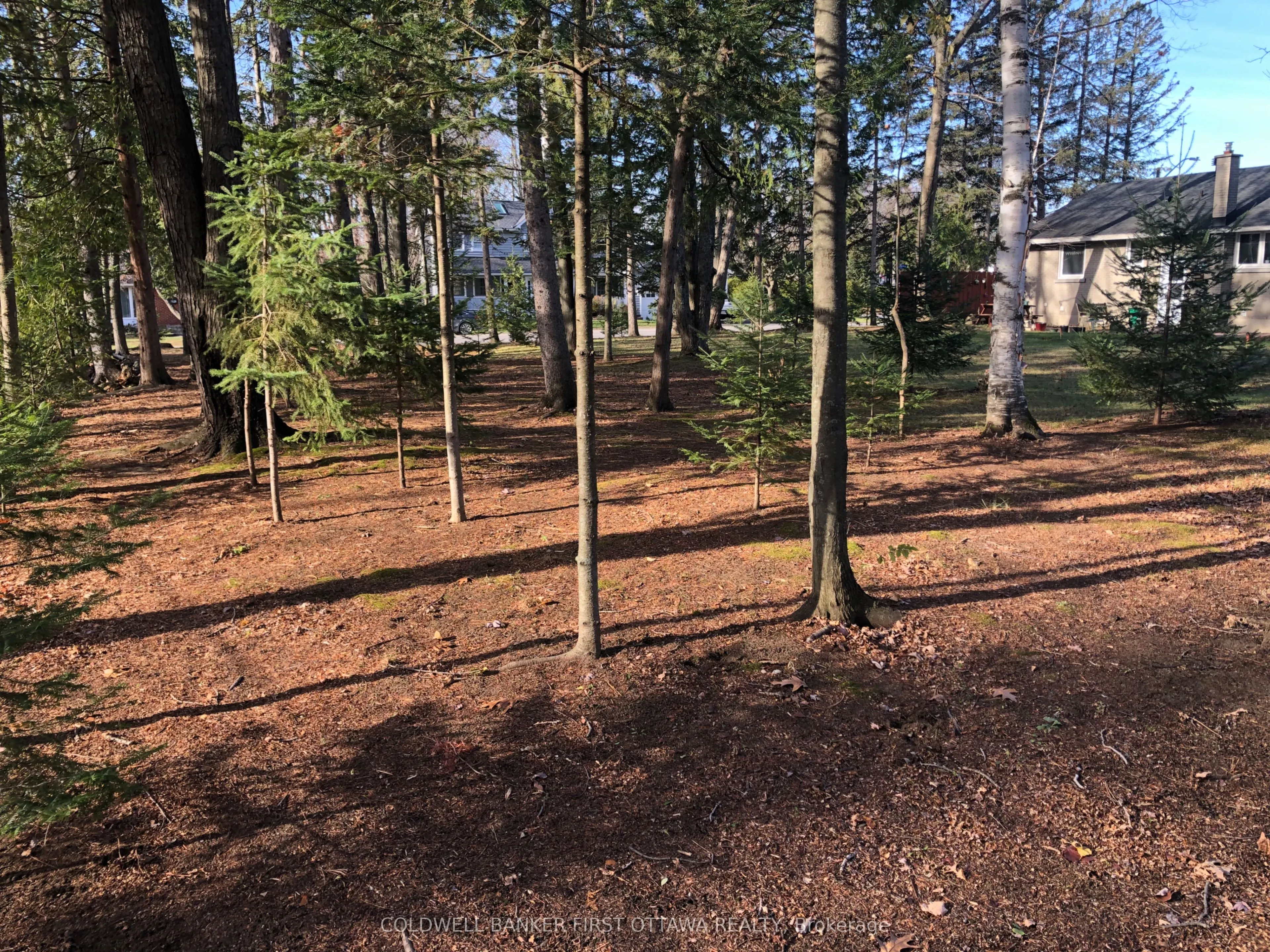 65 Vaan Drive