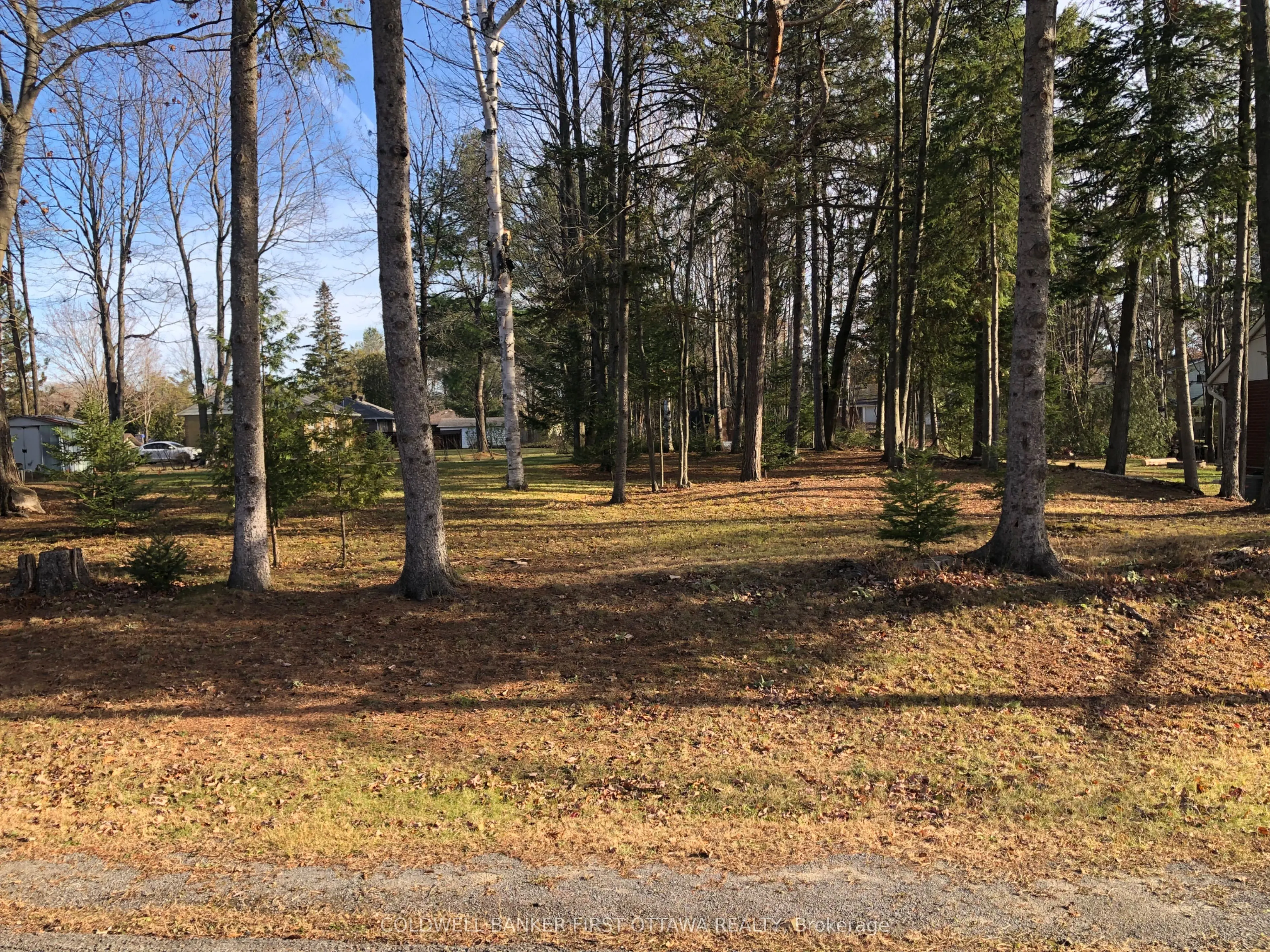 65 Vaan Drive