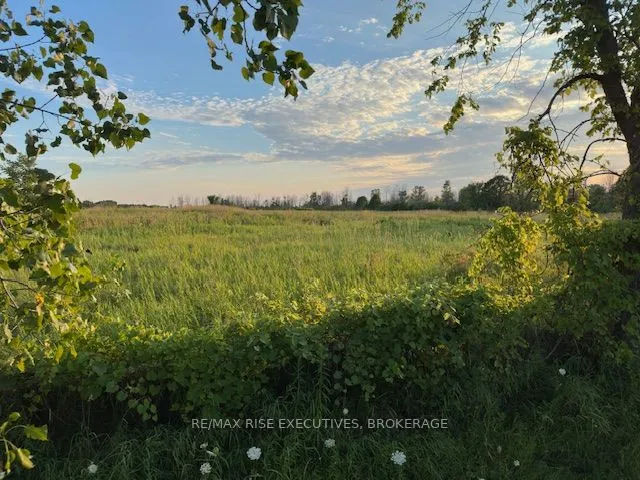 3878 County Rd 8