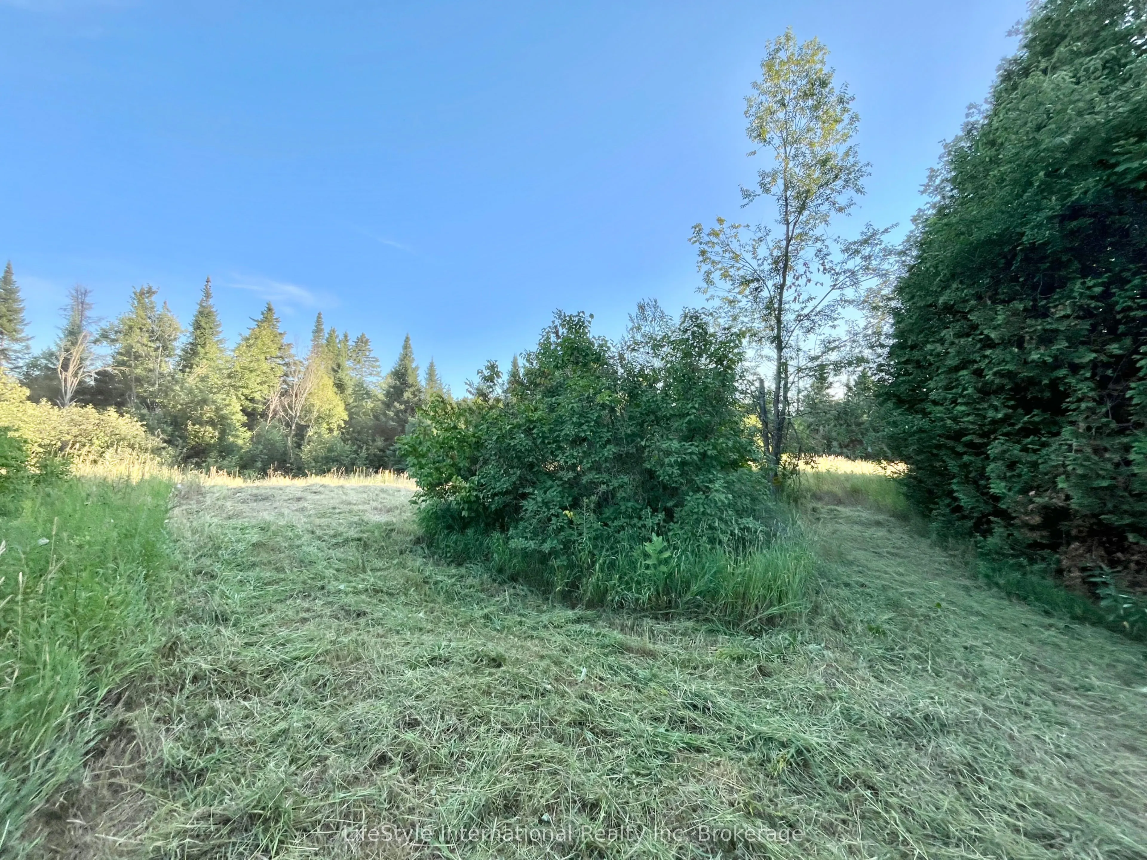 213 Vansickle Road