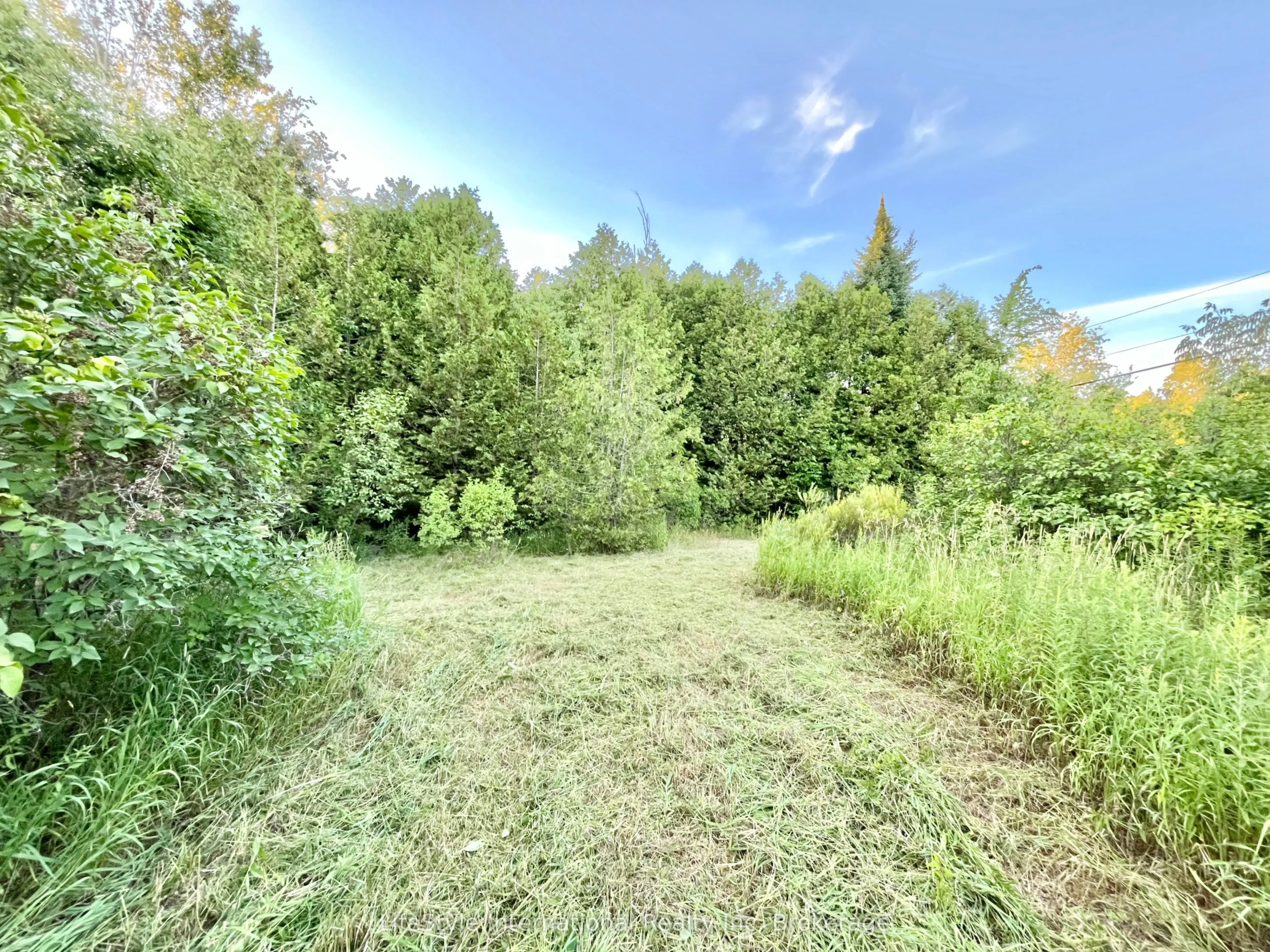 213 Vansickle Road