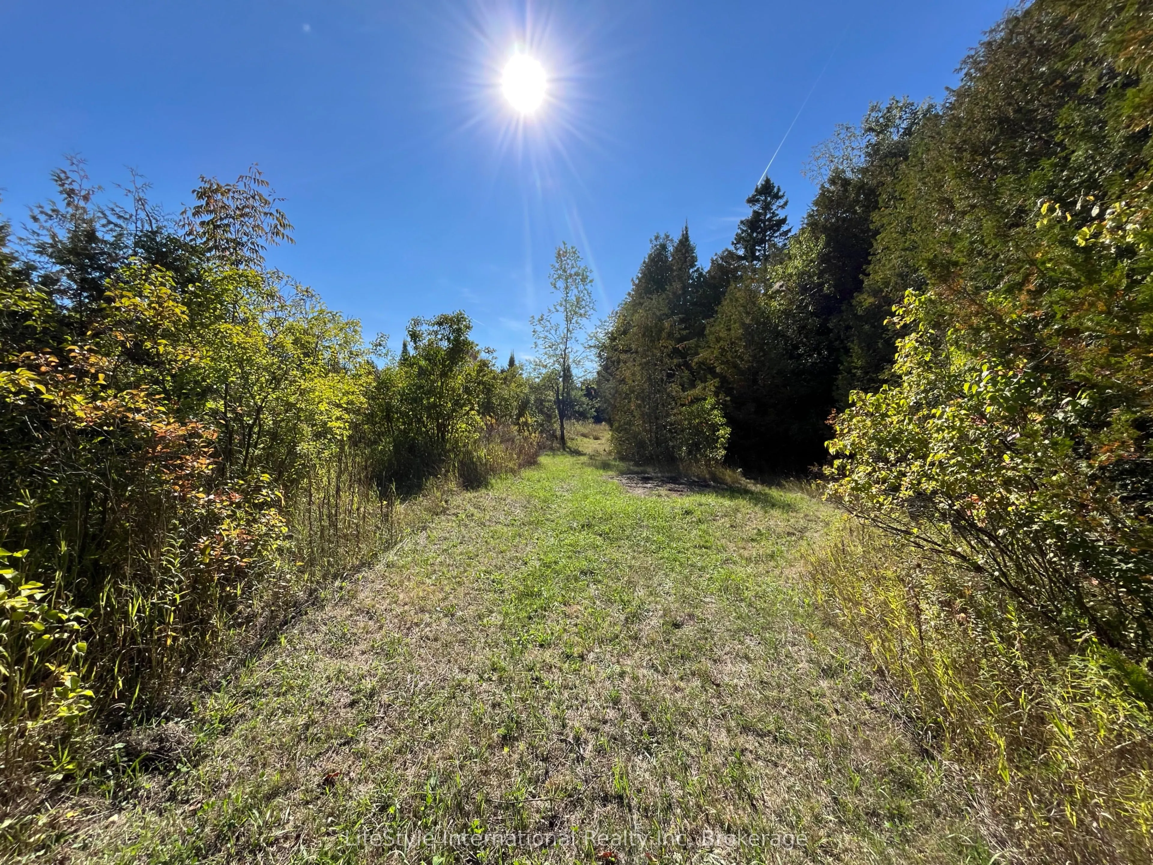 213 Vansickle Road