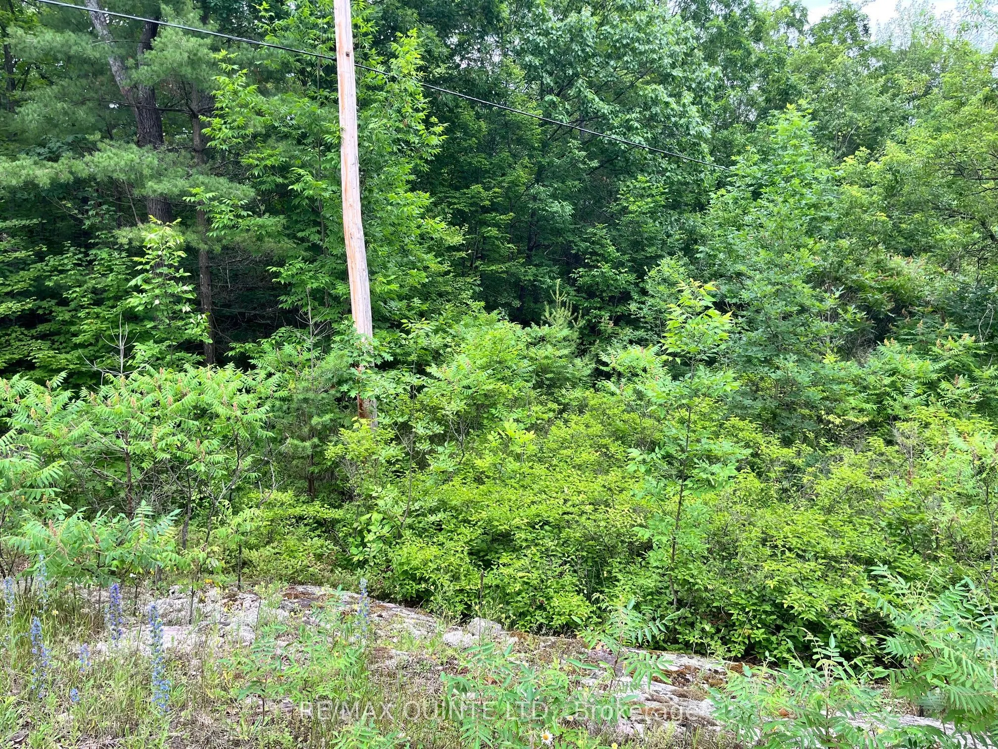 0 (PIN - 40264-0091) Potter Settlement Road