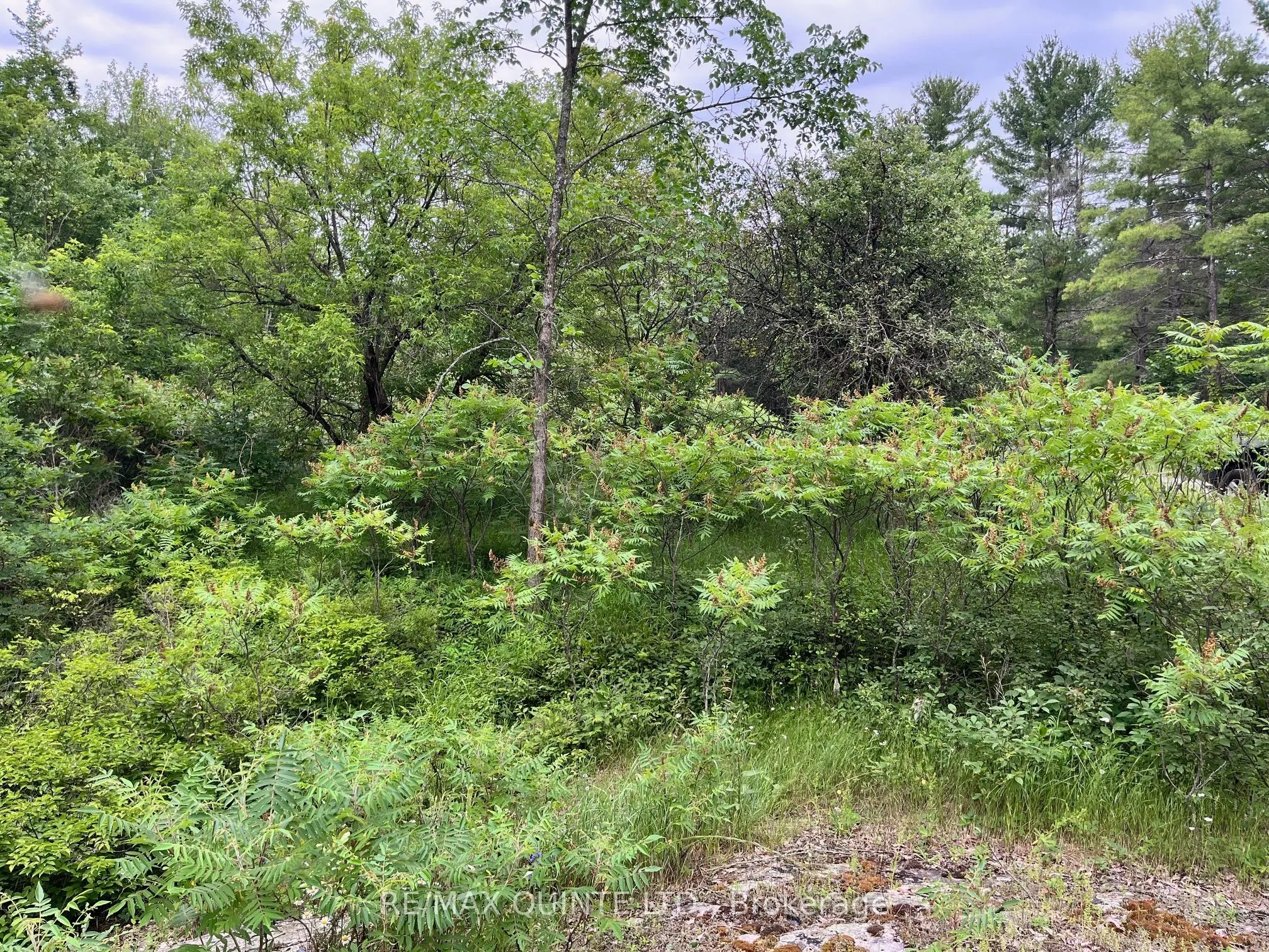 0 (PIN - 40264-0091) Potter Settlement Road