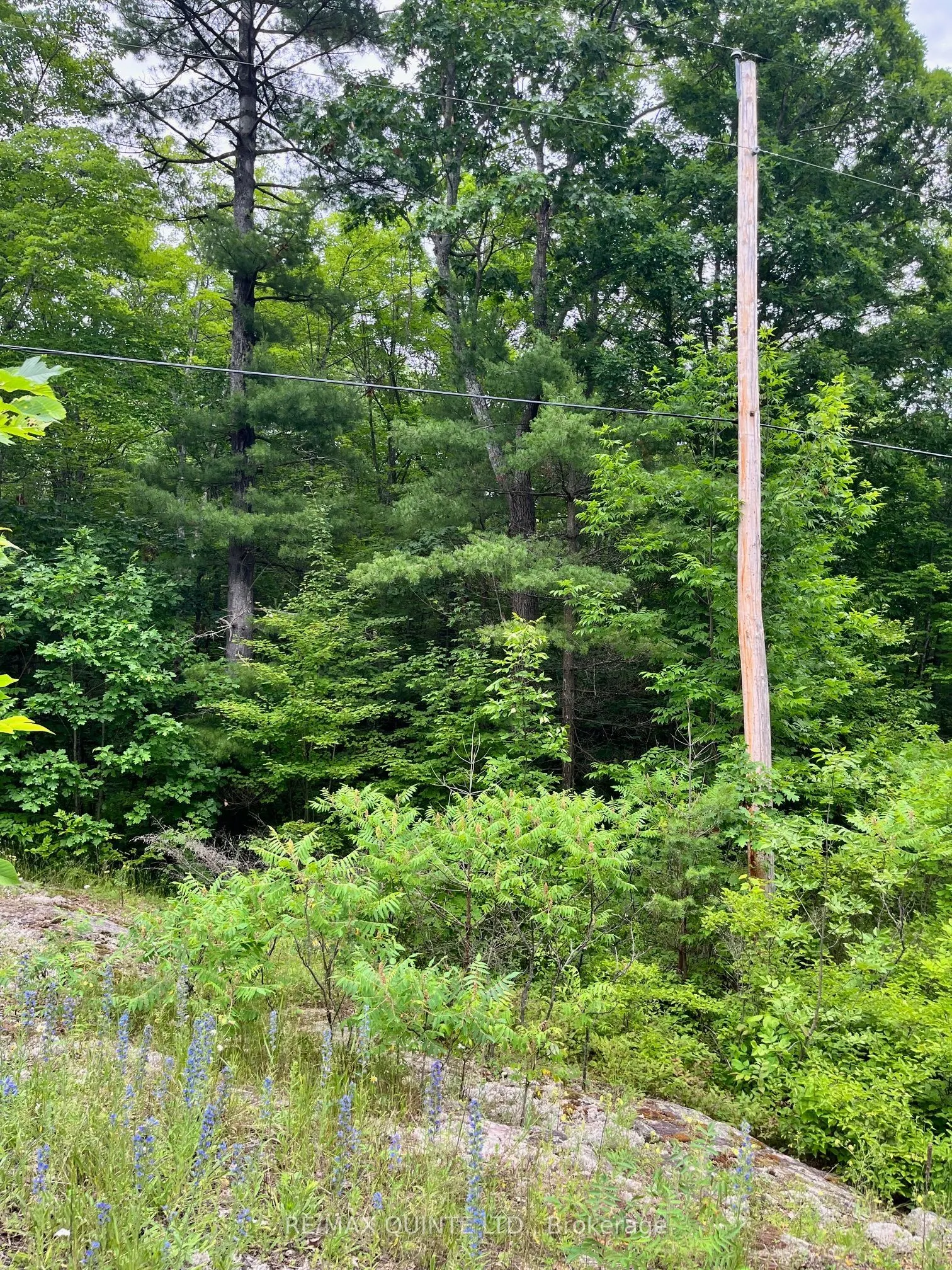 0 (PIN - 40264-0091) Potter Settlement Road