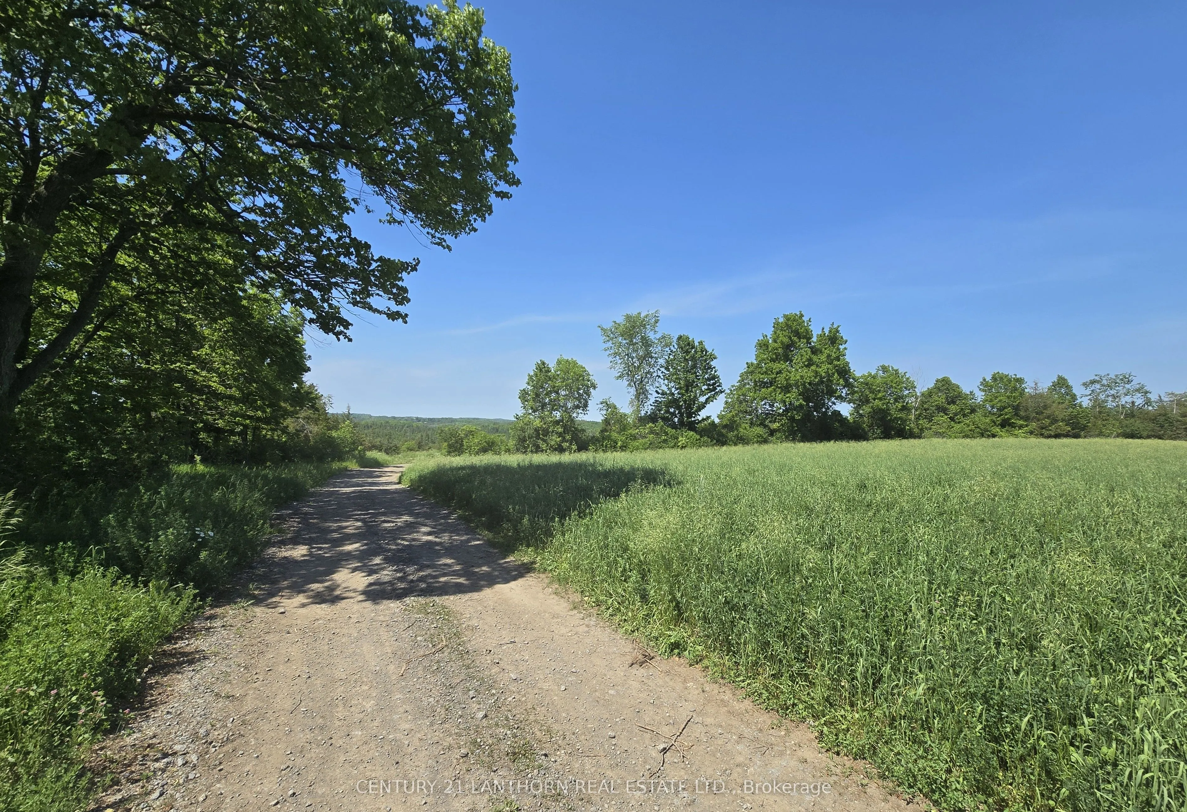 0 Shannonville Road