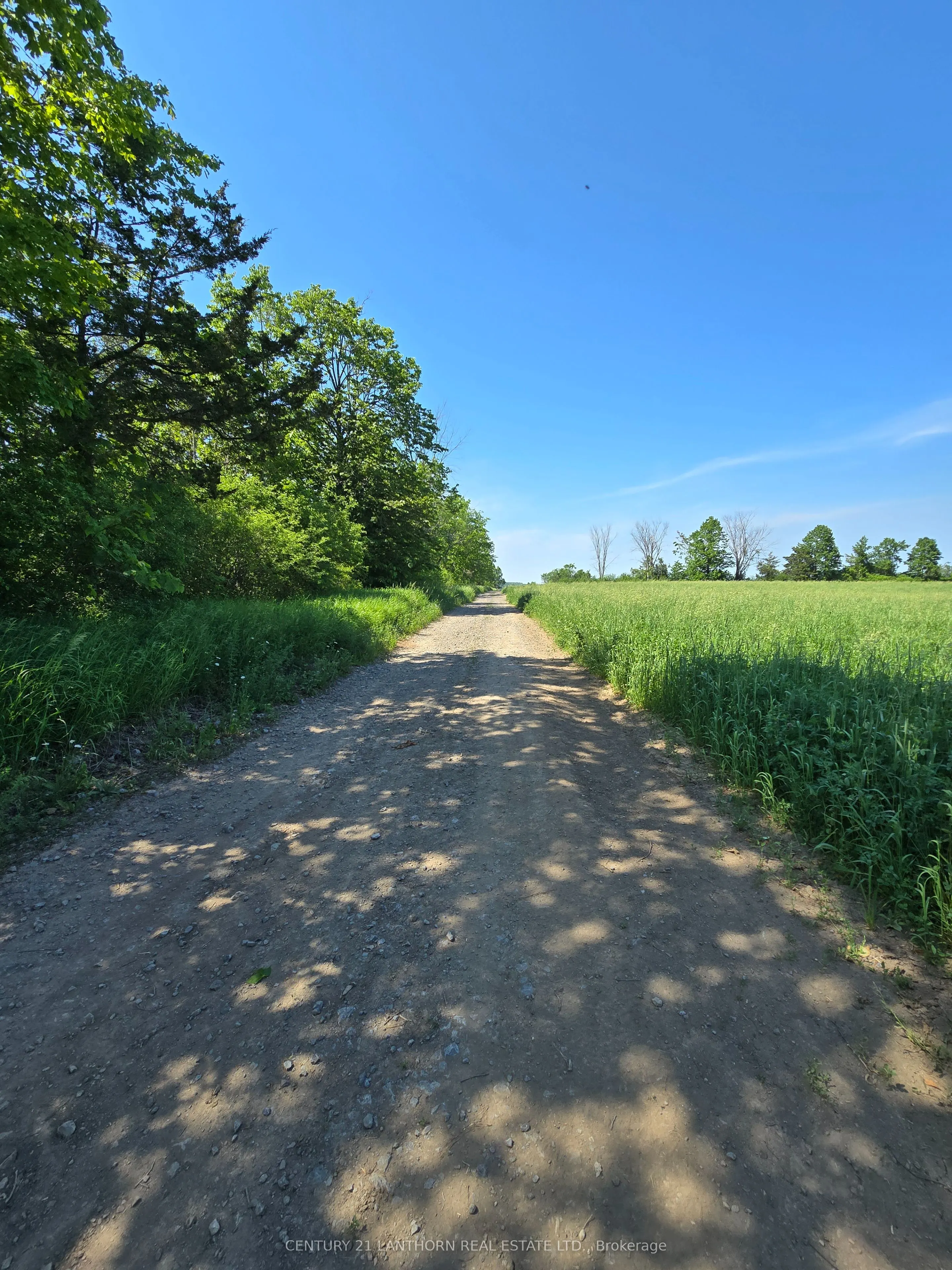 0 Shannonville Road