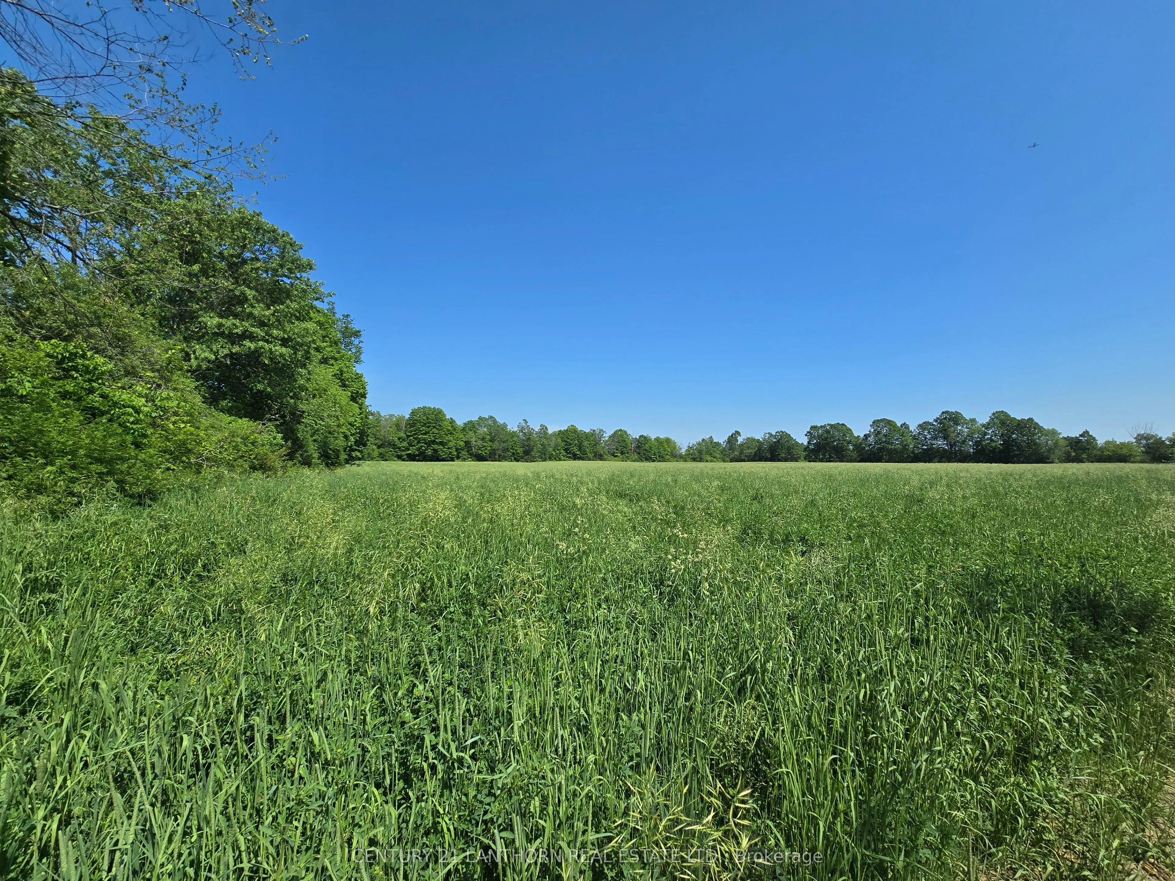 0 Shannonville Road
