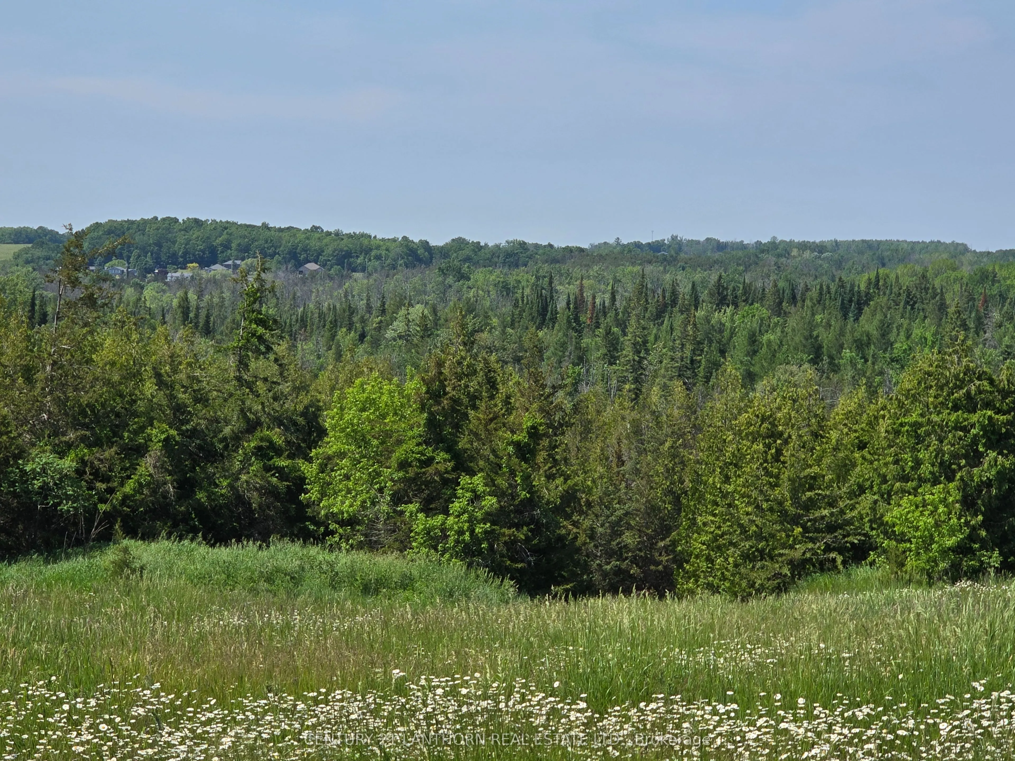 0 Shannonville Road