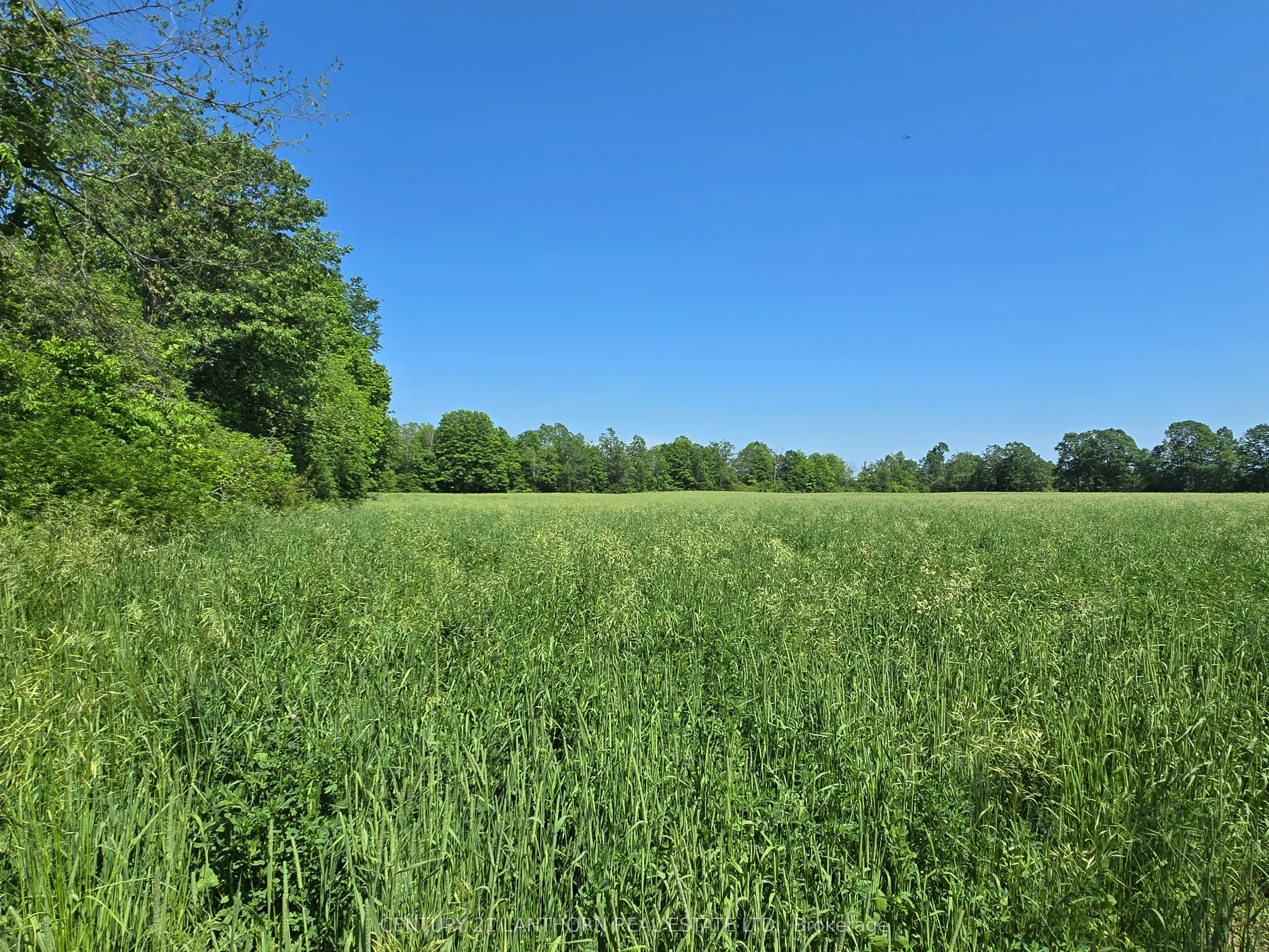 0 Shannonville Road