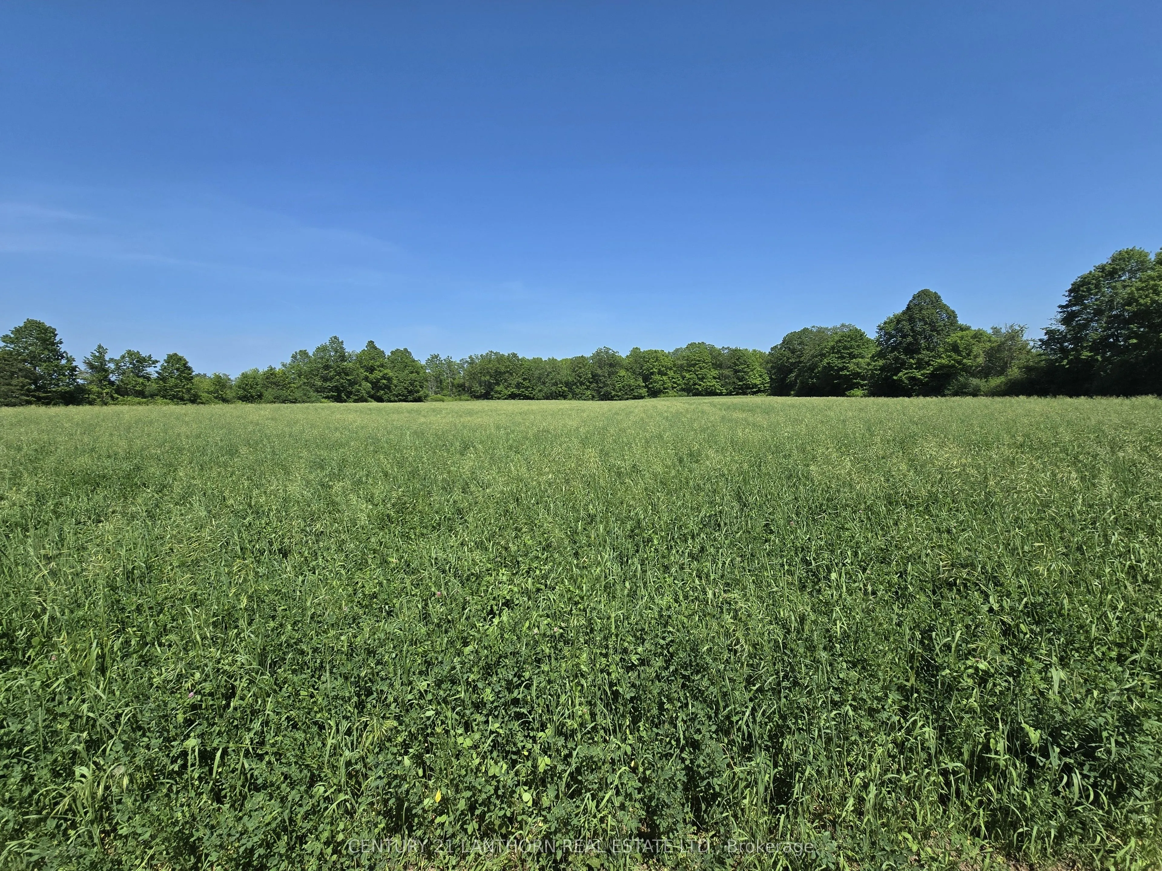 0 Shannonville Road