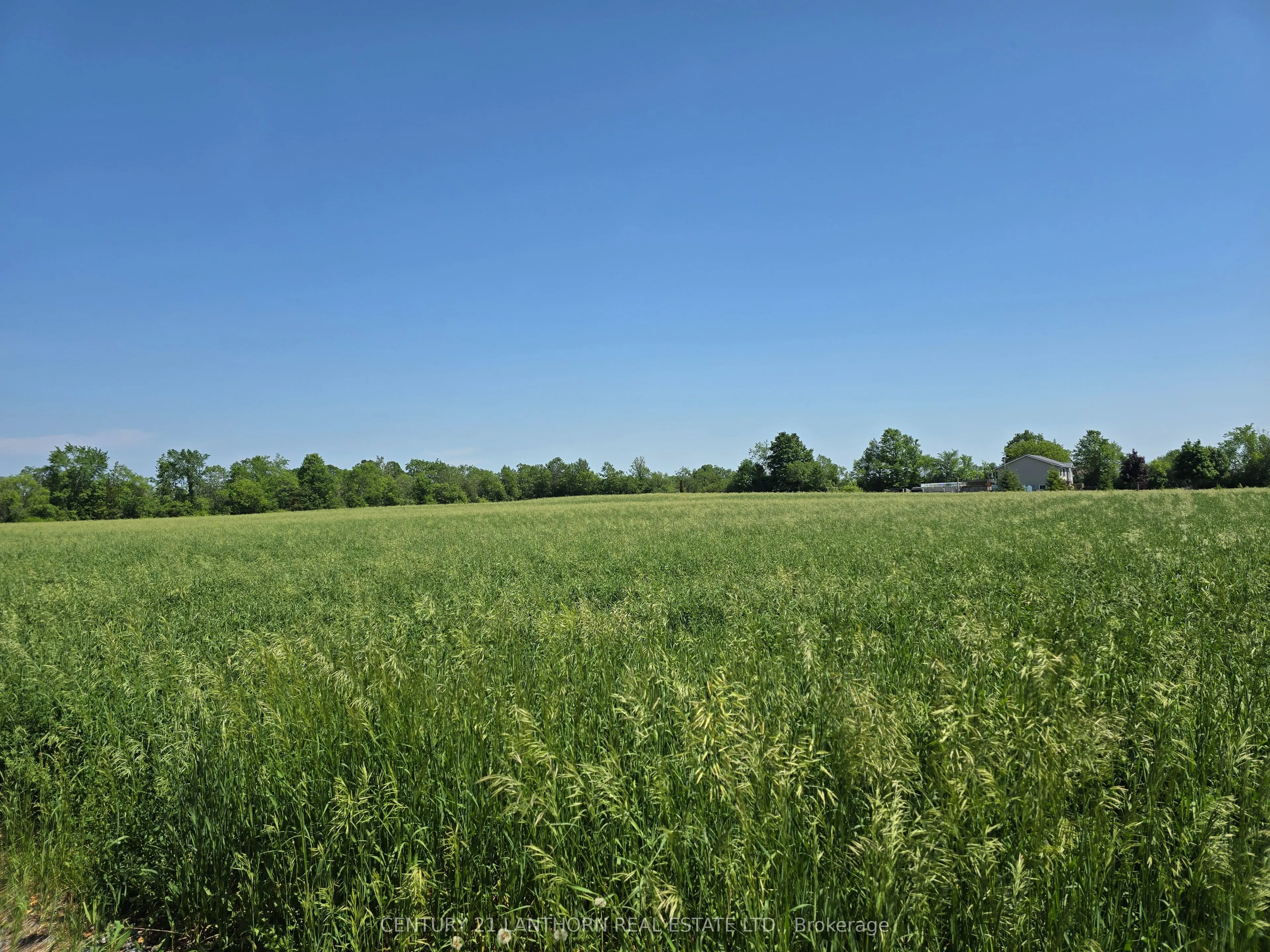 0 Shannonville Road