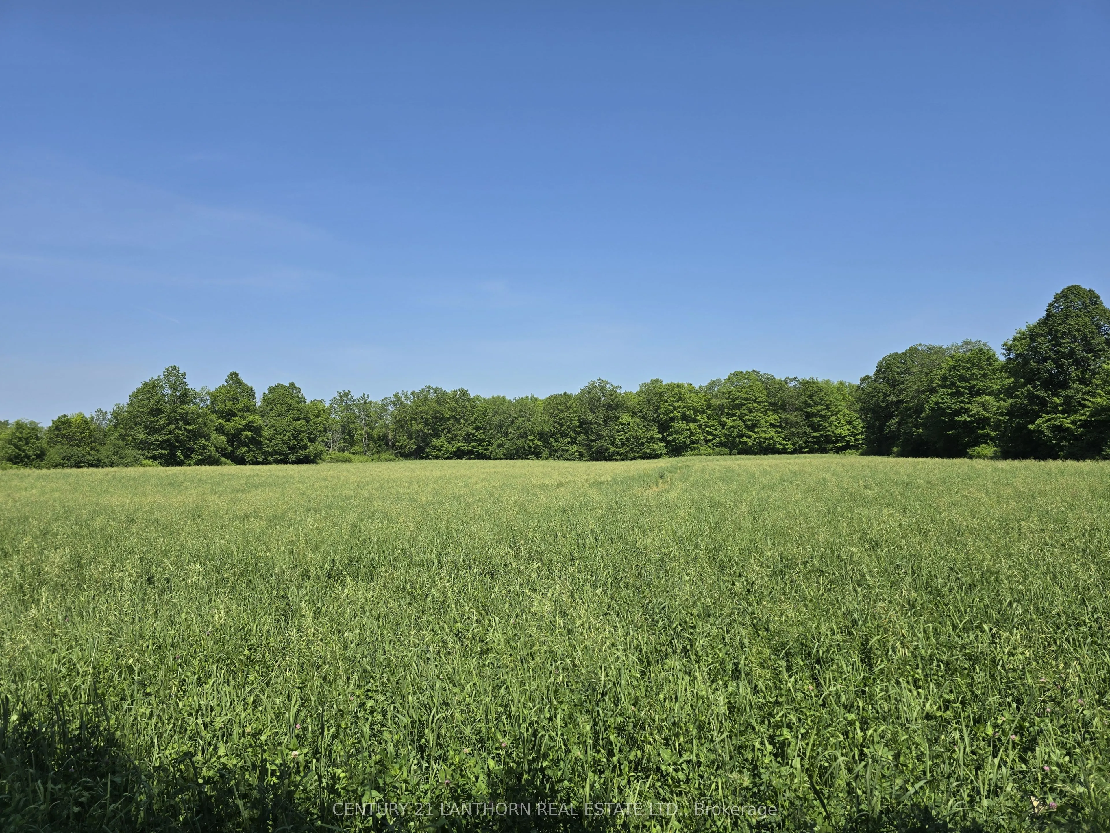 0 Shannonville Road