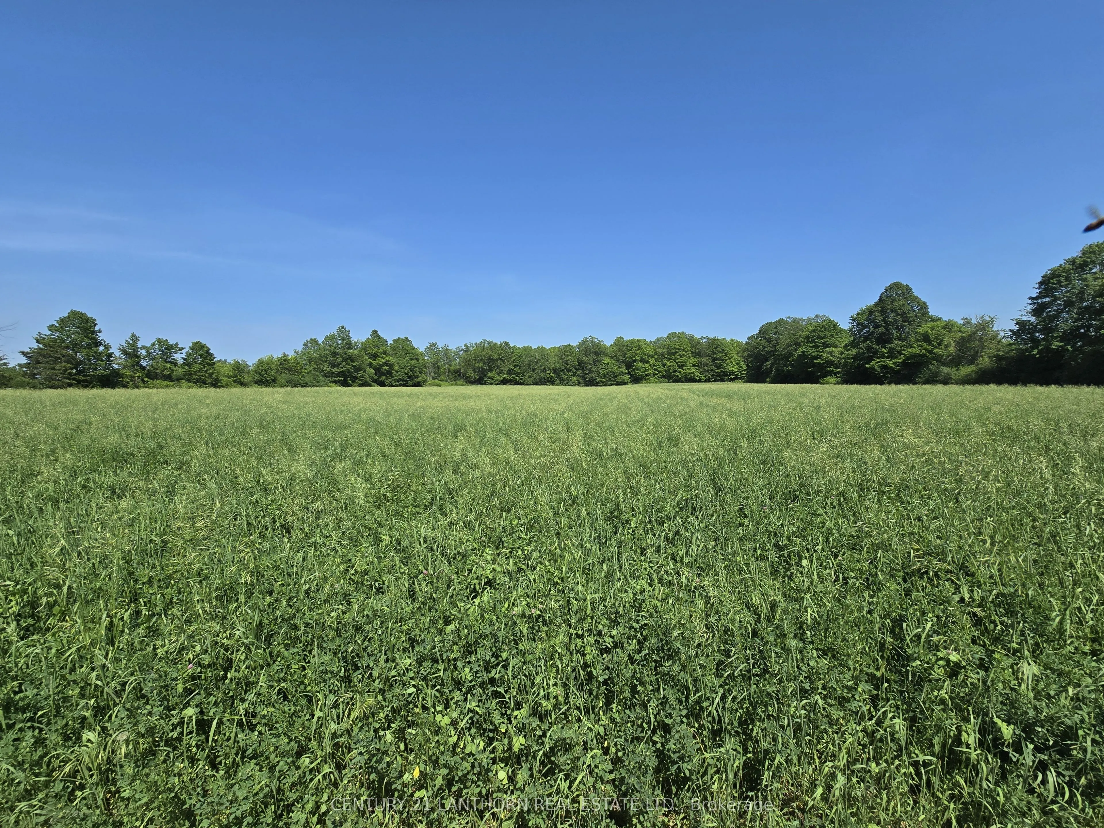0 Shannonville Road