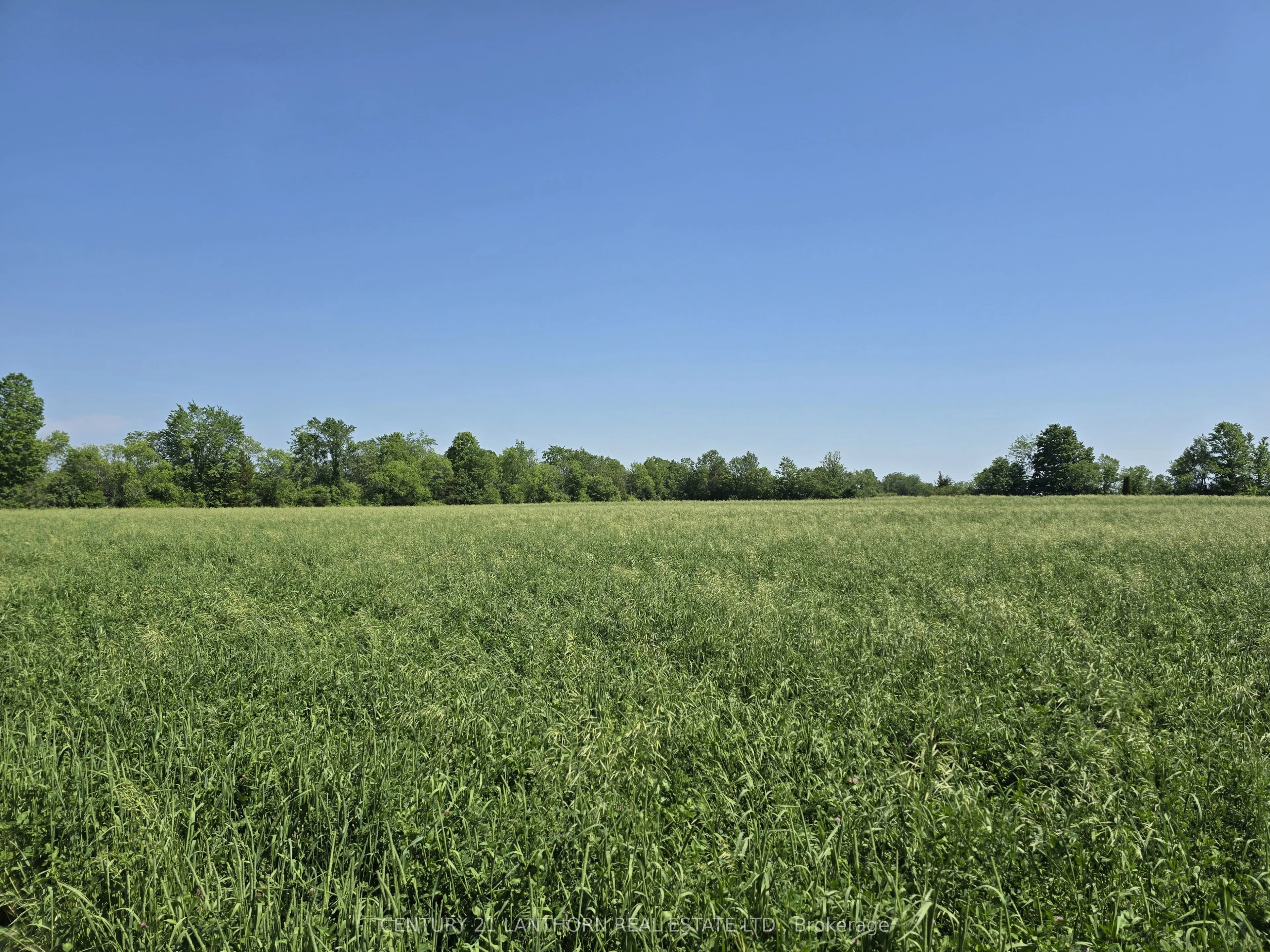 0 Shannonville Road