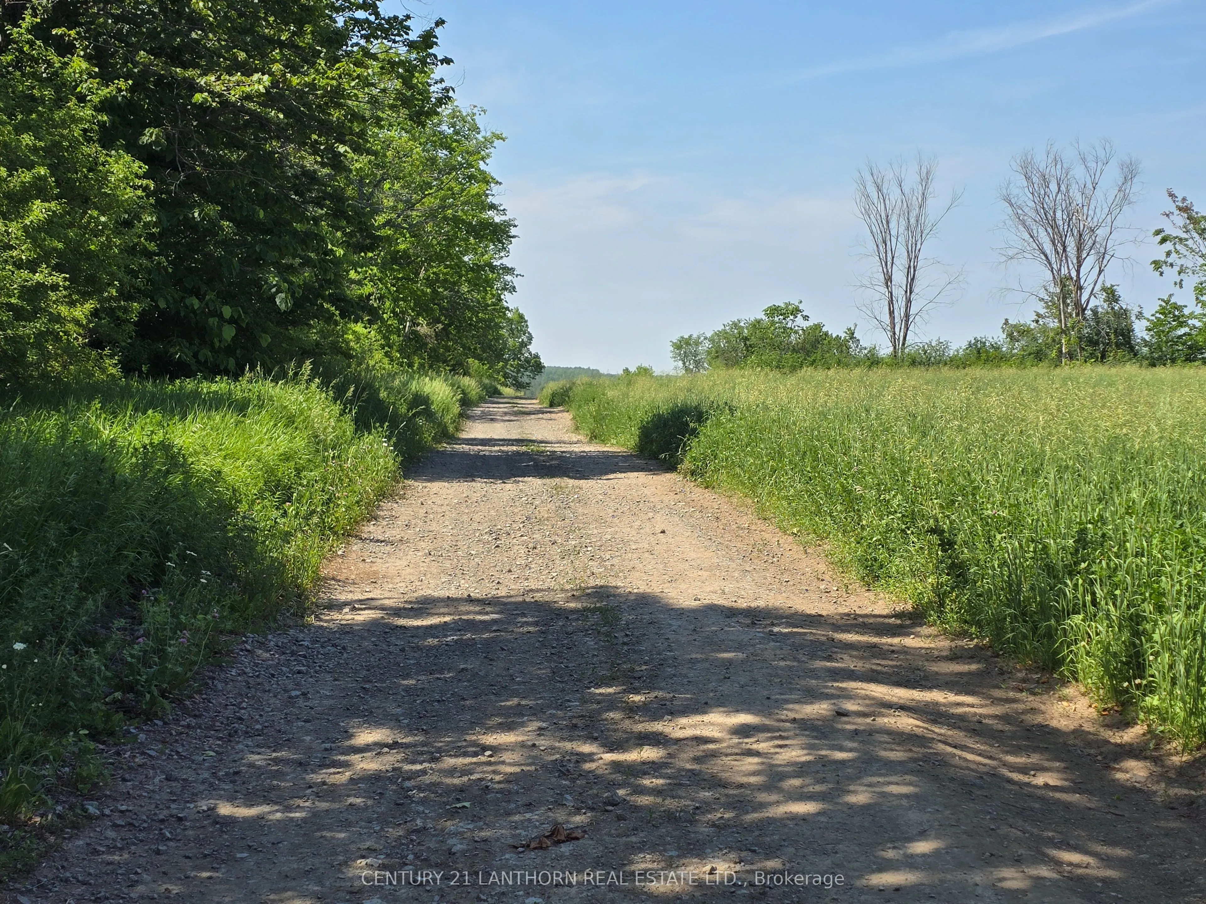 0 Shannonville Road