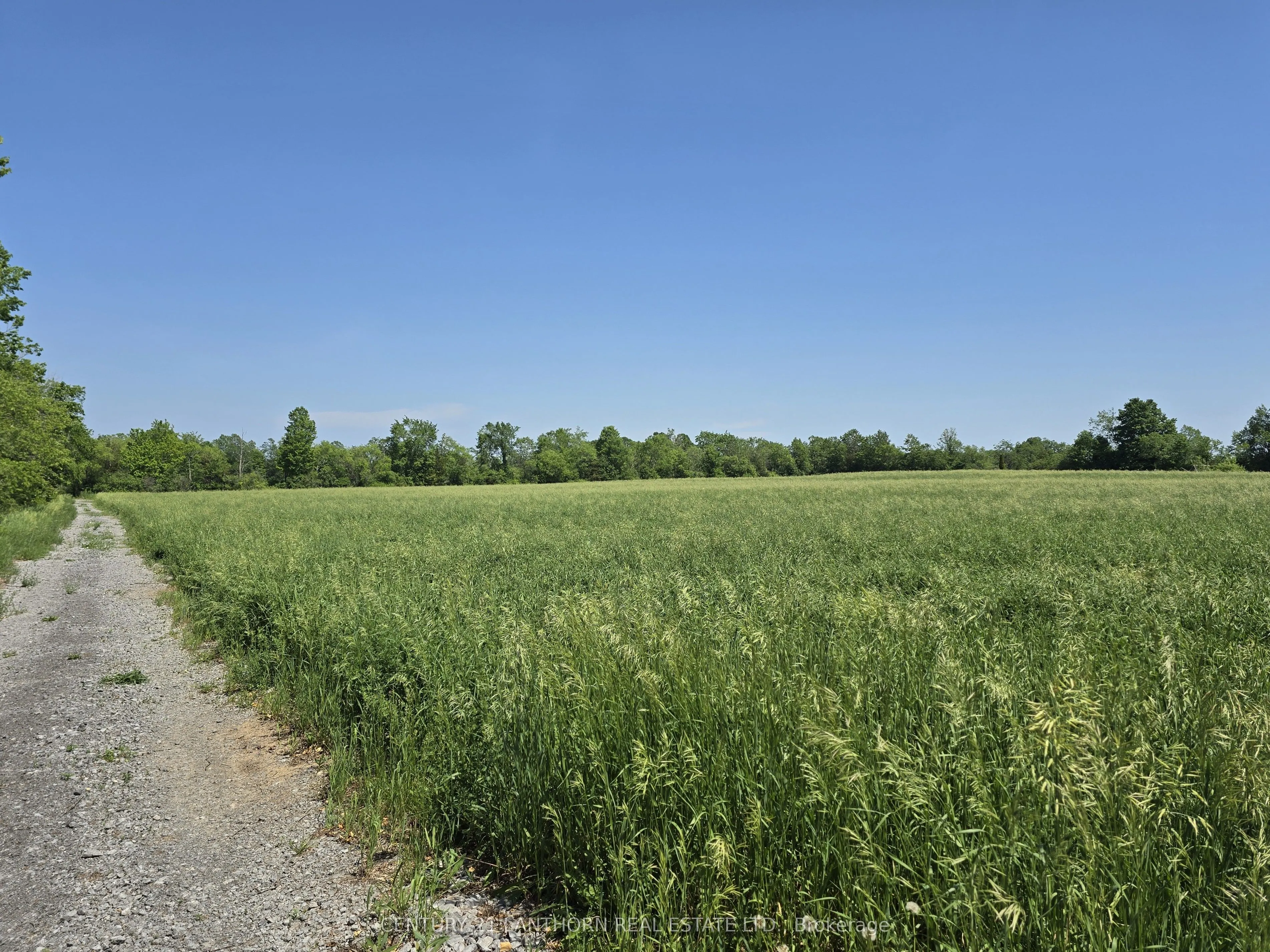 0 Shannonville Road