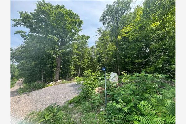 554 Pigden Road #Severed B