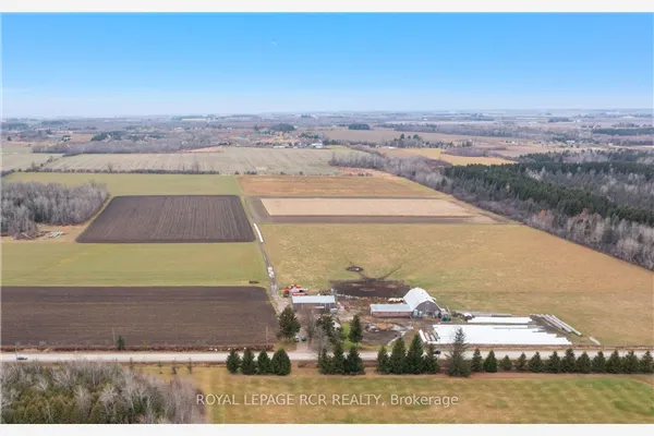 553456 Mono Amaranth Townline