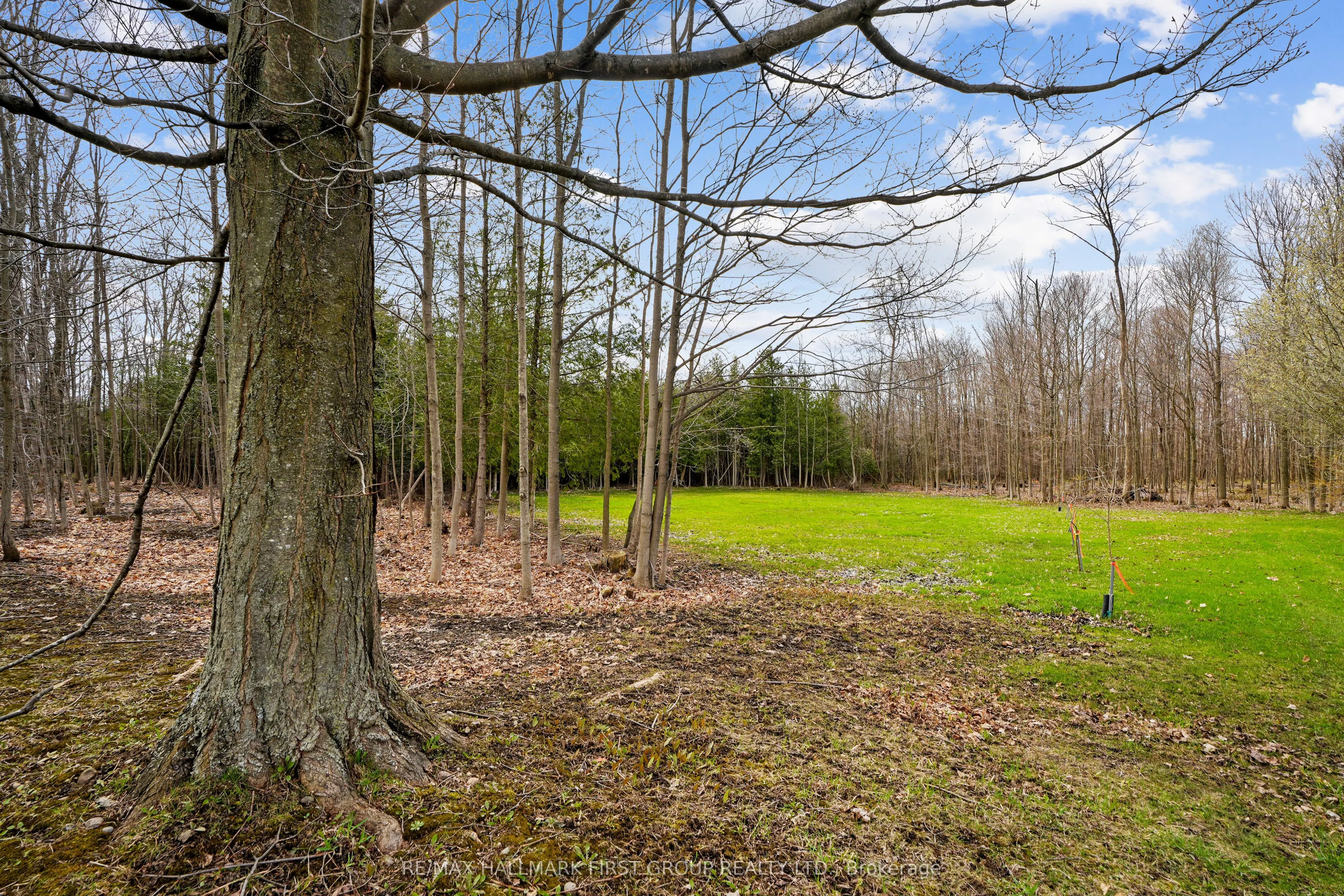 426 Gully Road