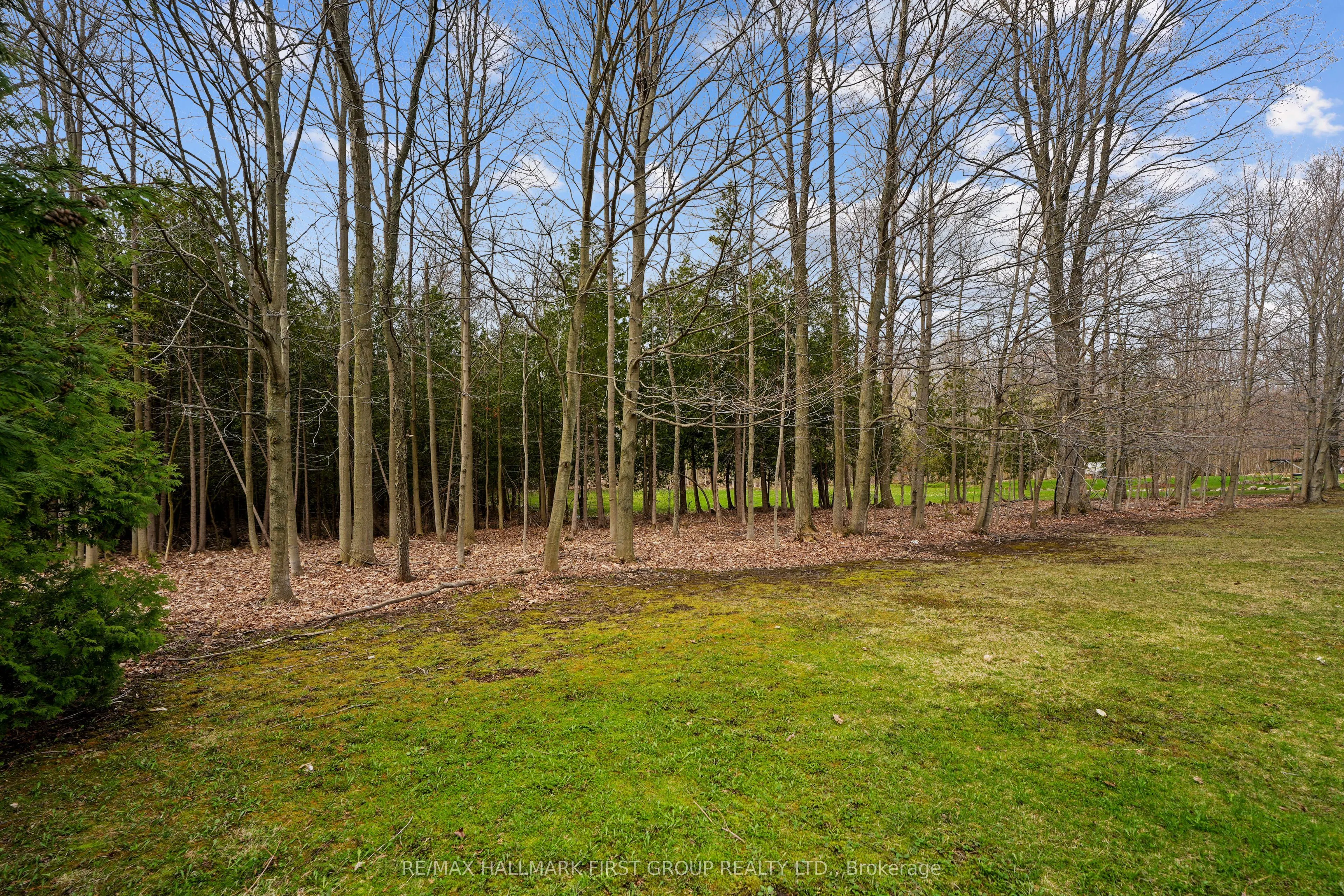 426 Gully Road