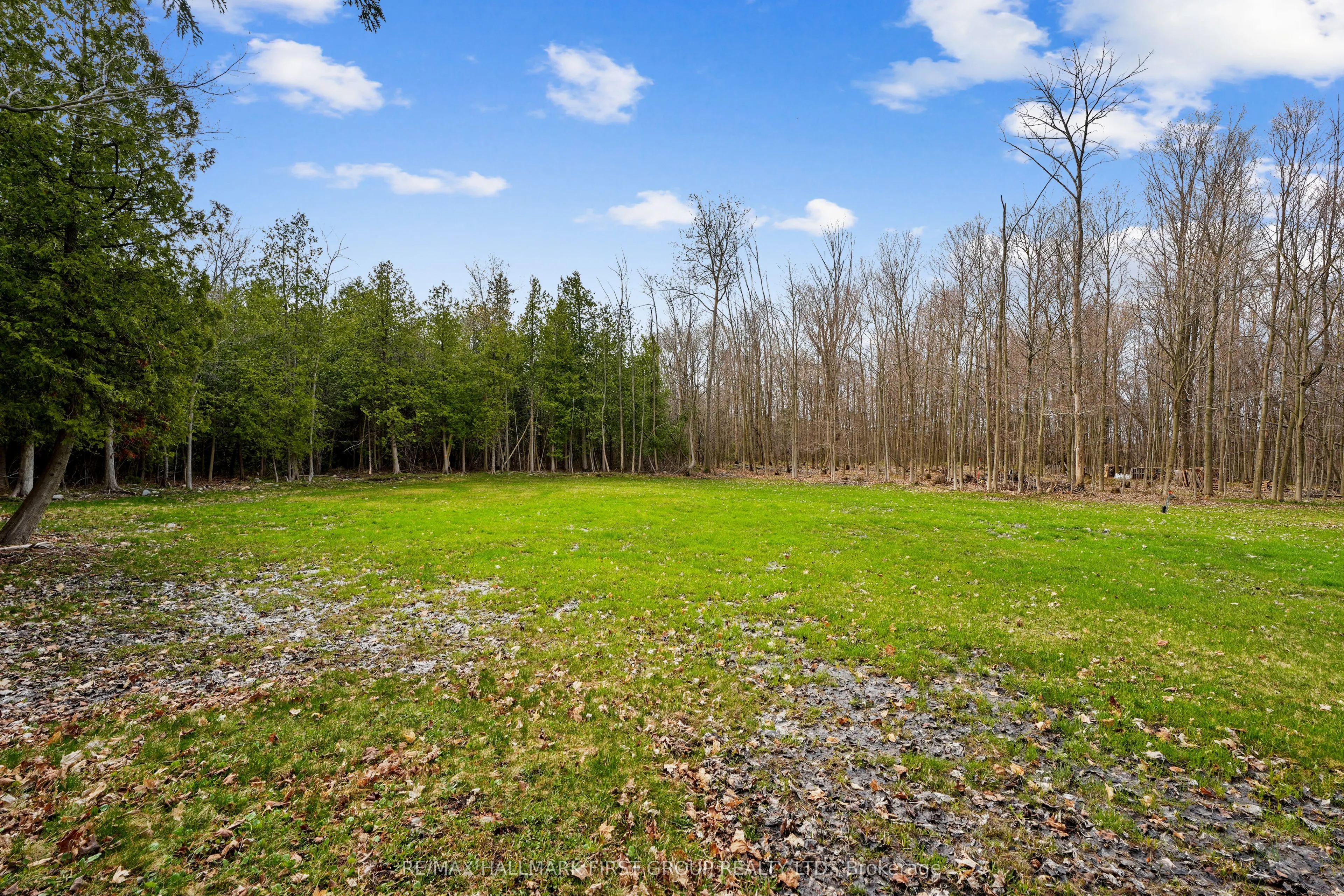 426 Gully Road