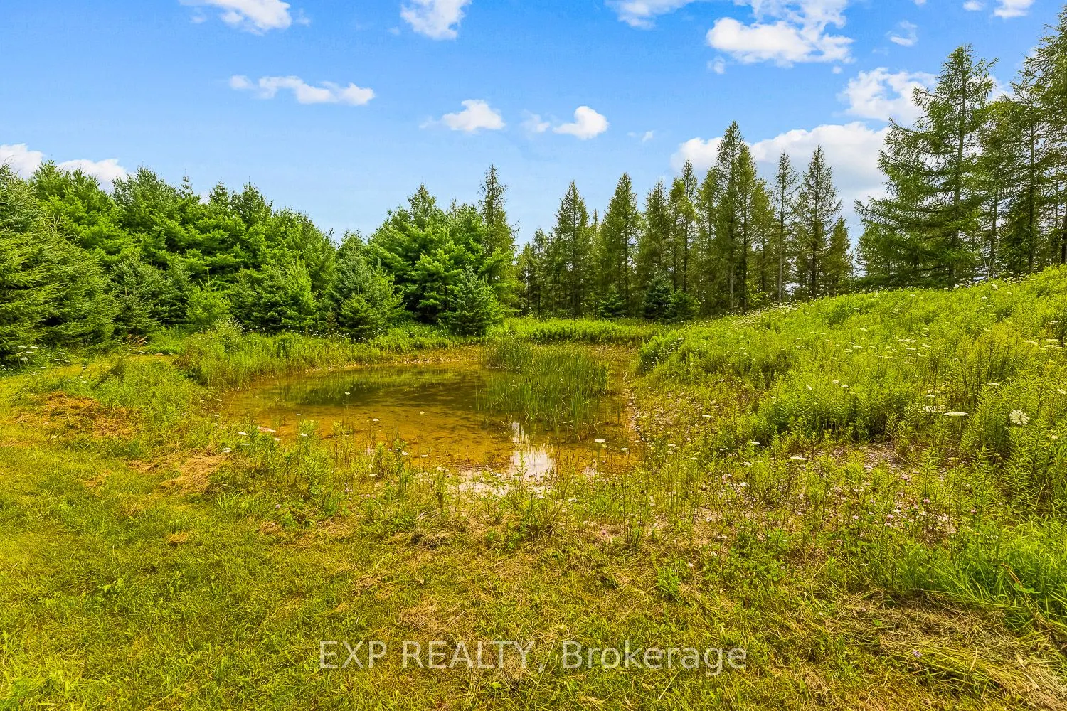 9307 9 Side Road