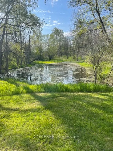 99 McBay Road