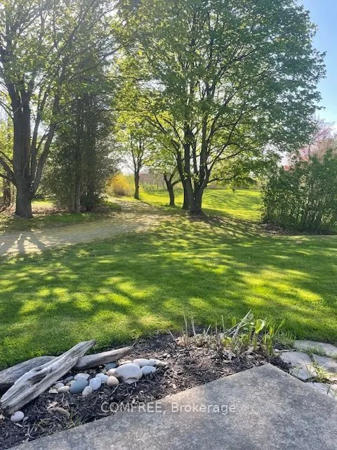 99 McBay Road