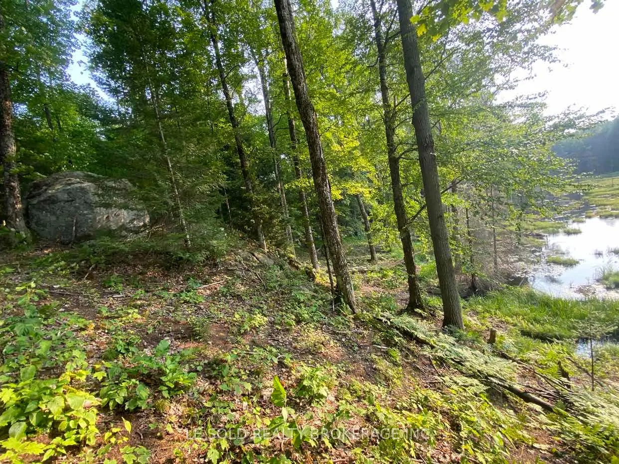 1310 Camel Lake Road #Lot # 7