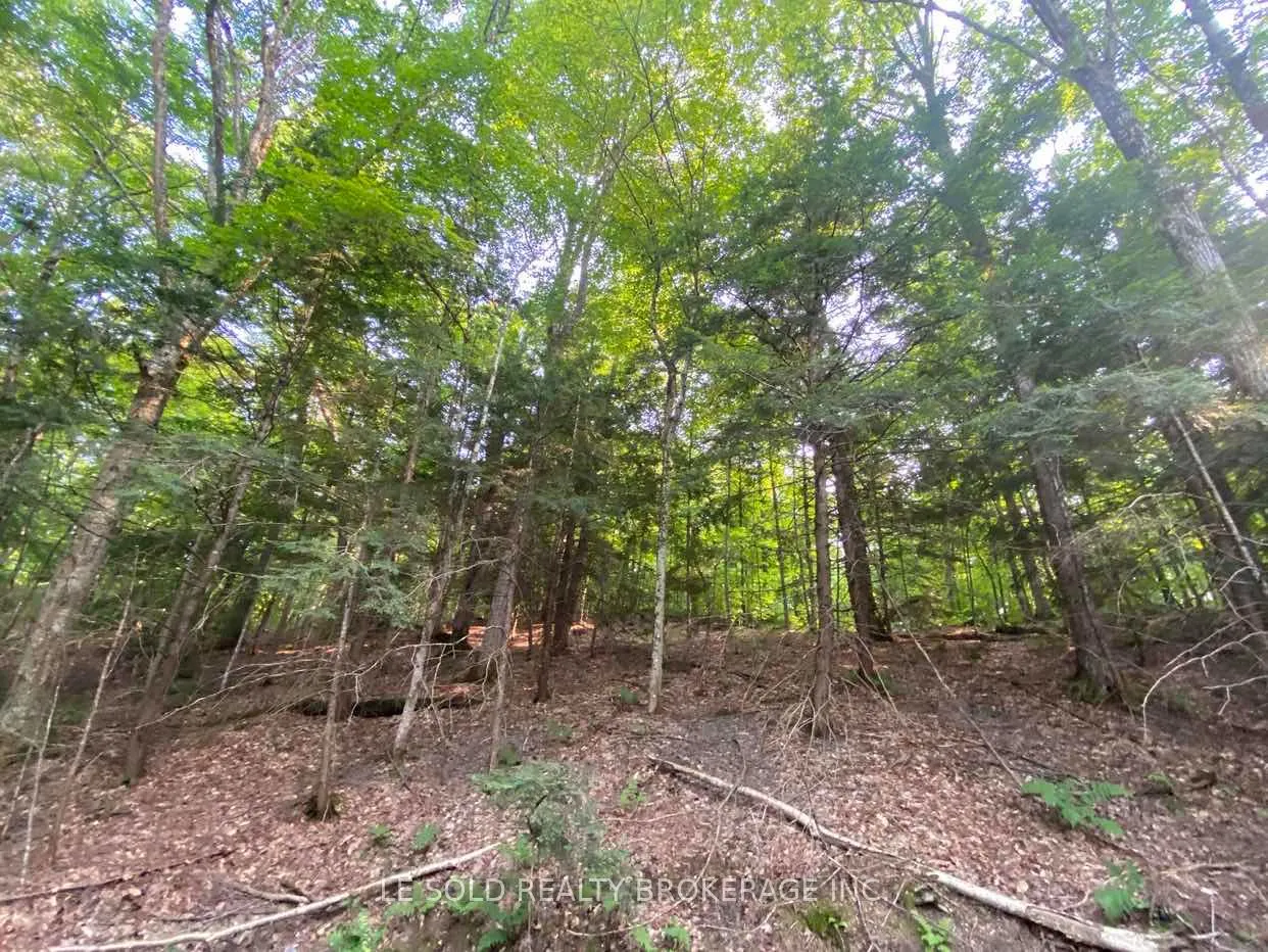 1310 Camel Lake Road #Lot # 7