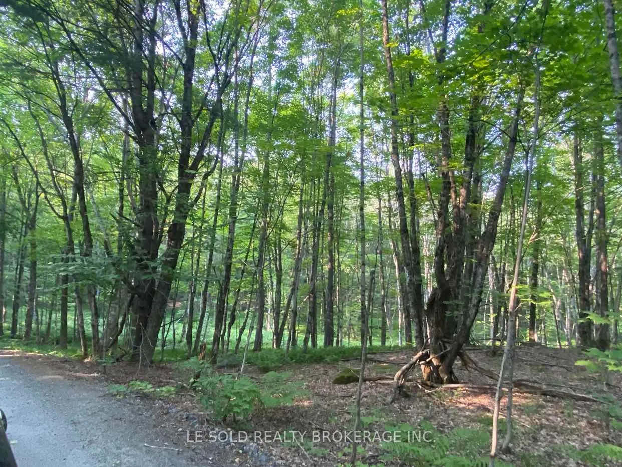 1310 Camel Lake Road #Lot # 7