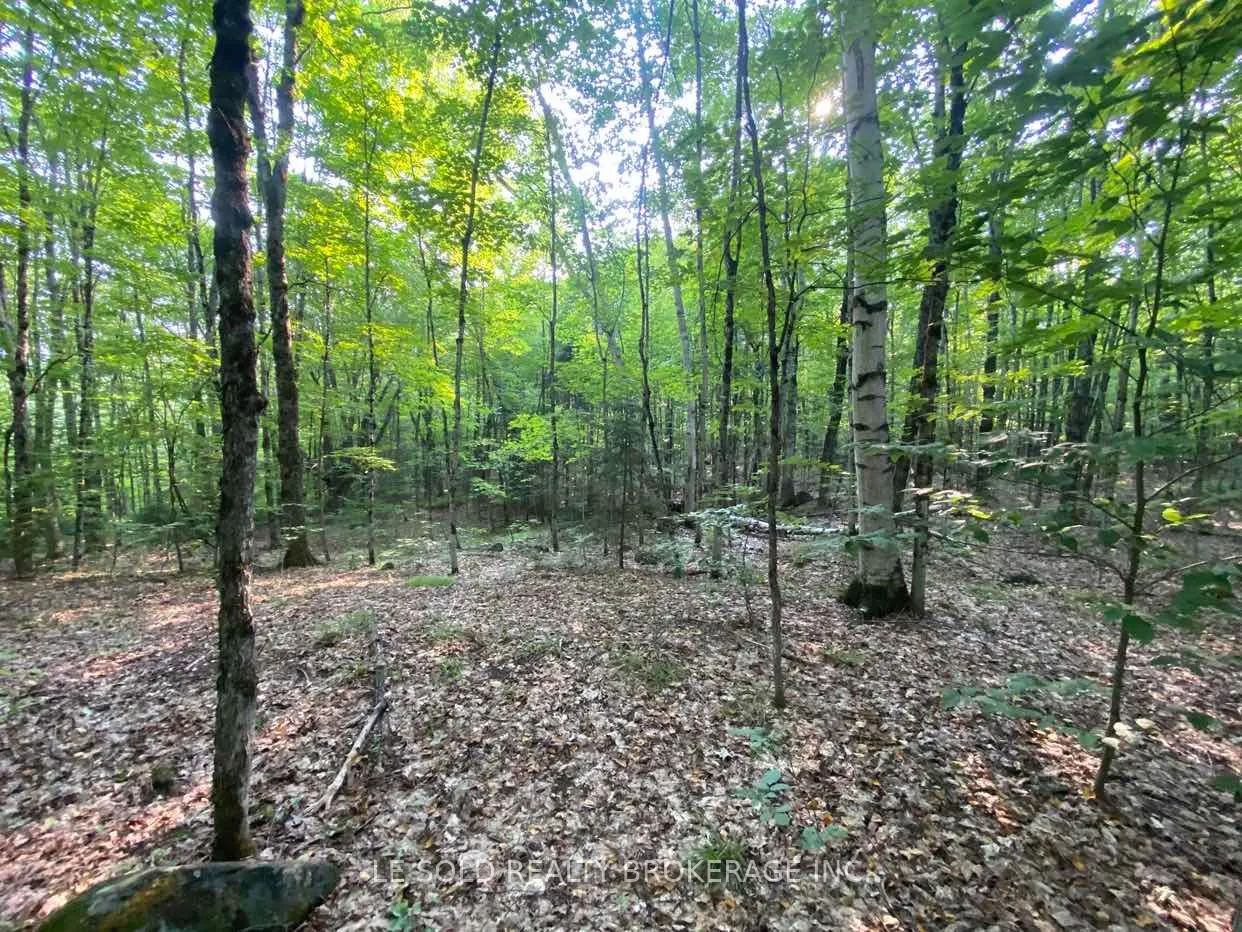 1310 Camel Lake Road #Lot # 7