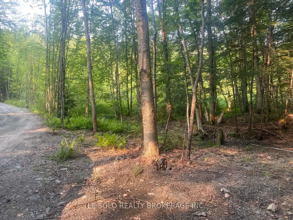 1310 Camel Lake Road #Lot # 7