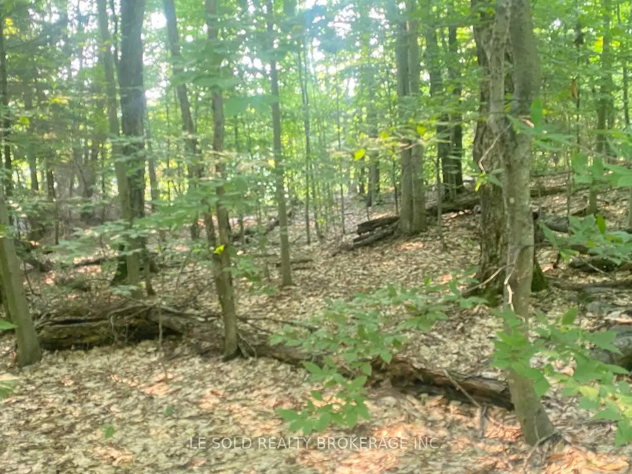 1310 Camel Lake Road #Lot # 7