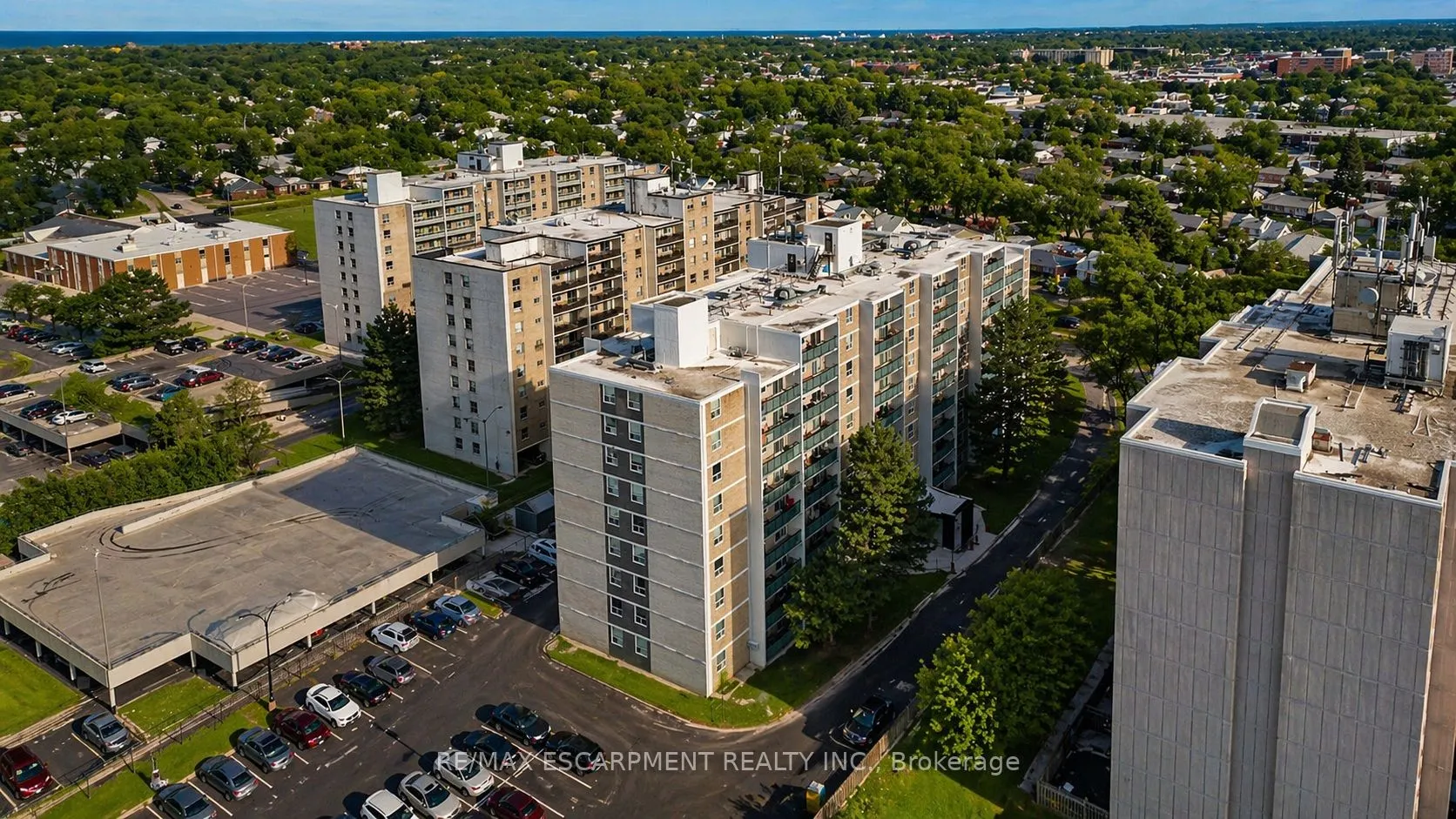 359 Geneva Street #1004