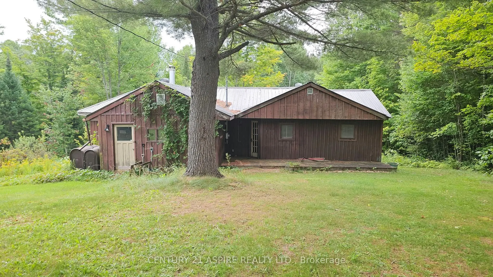 72 Maplewood Road